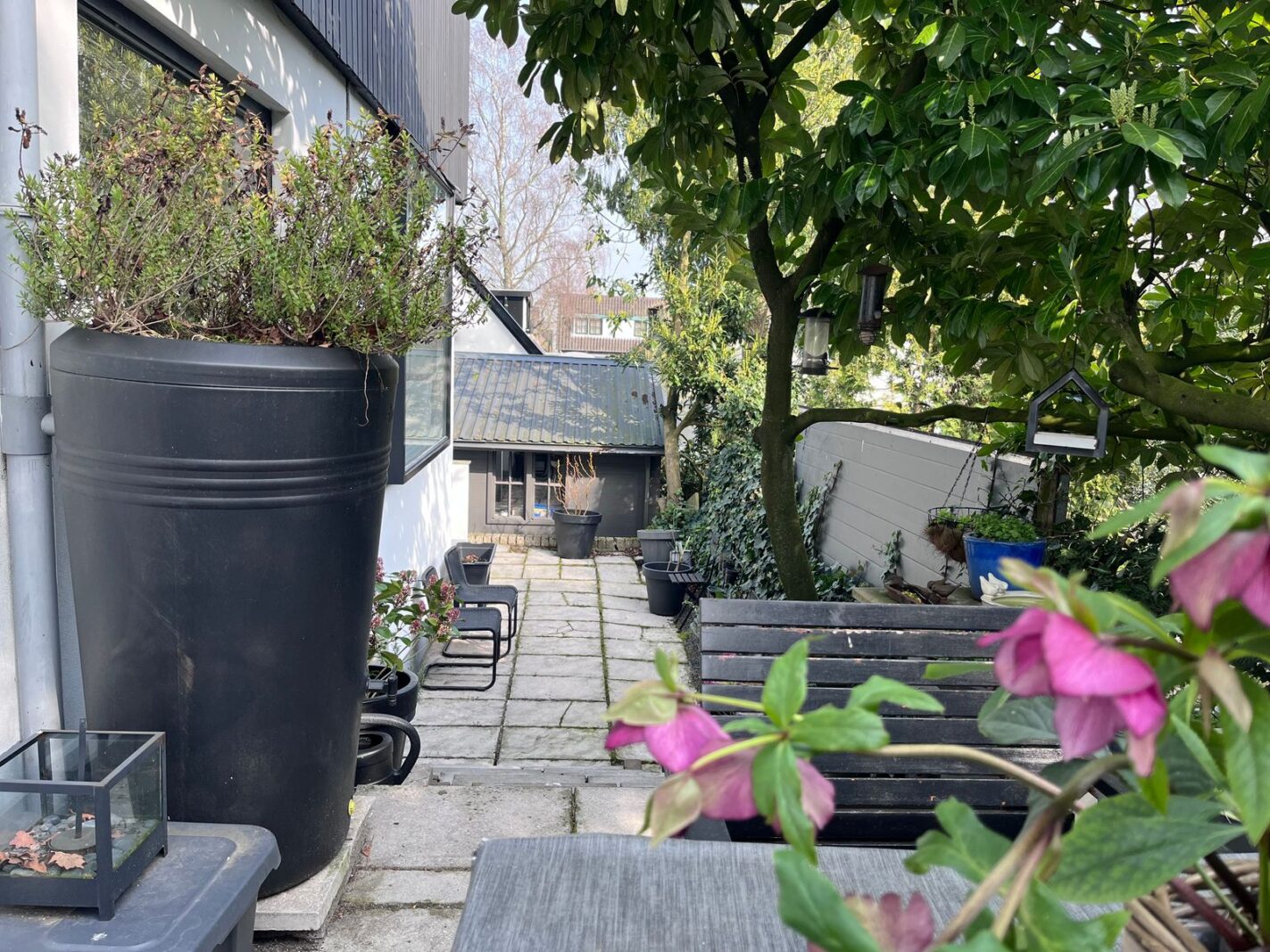 Steenhoffstraat 49
