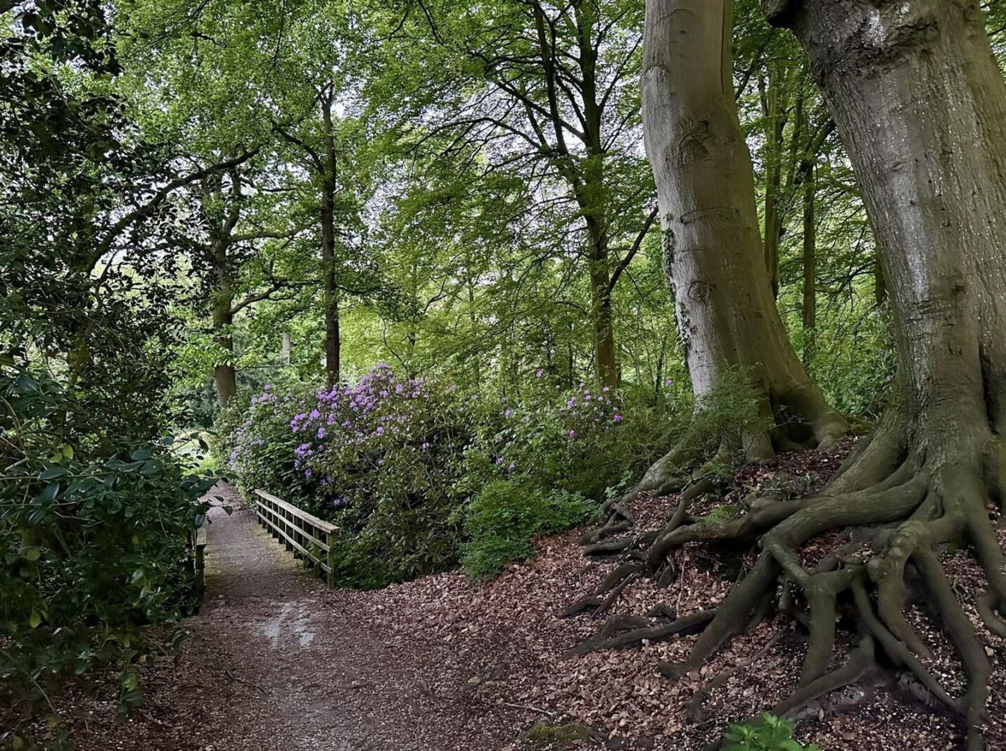 Generaal Spoorlaan 197