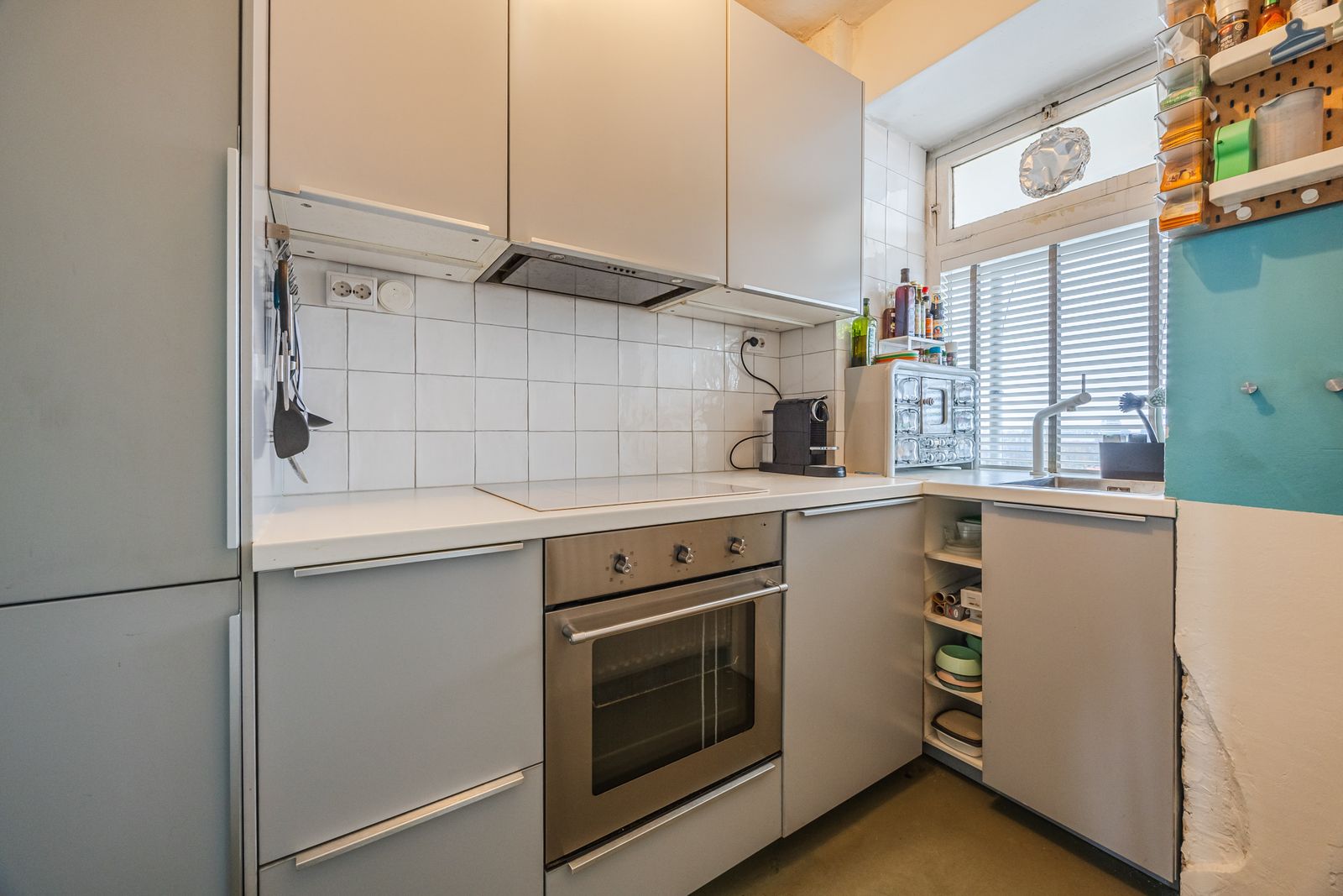 Suze Groeneweglaan 313