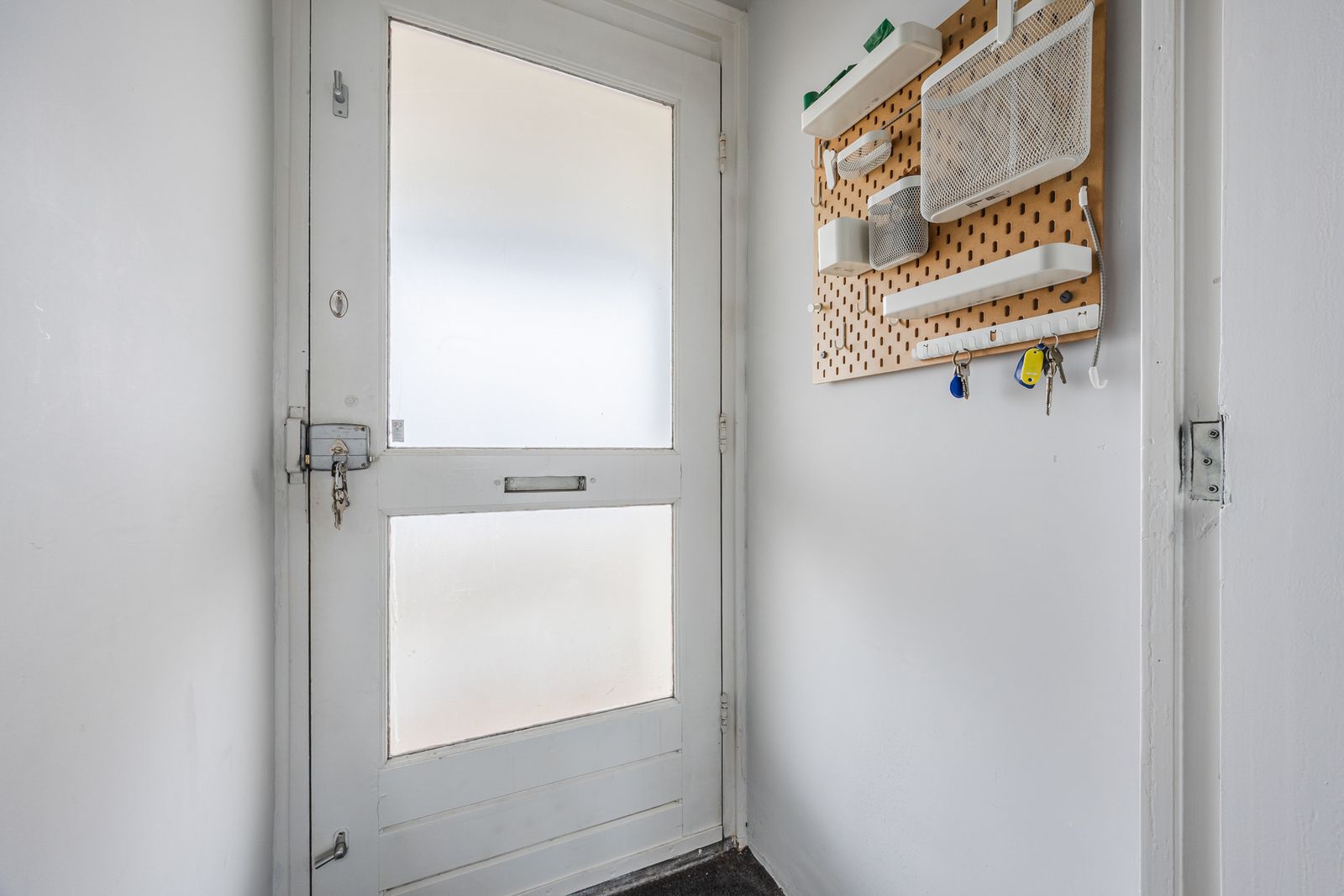 Suze Groeneweglaan 313