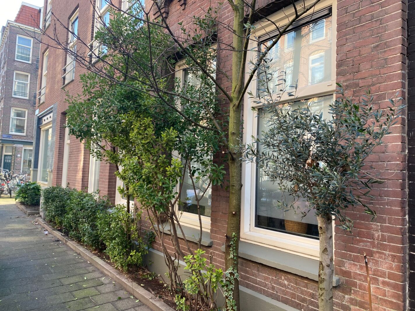 Rhijnvis Feithstraat 2H