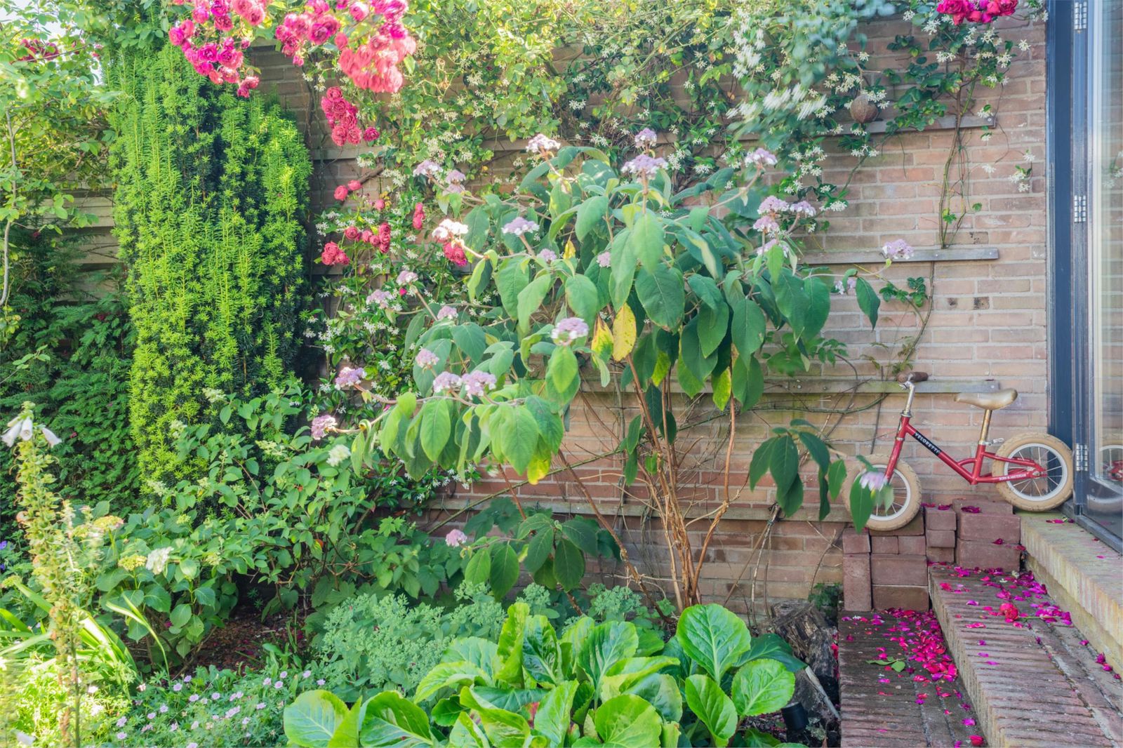 Michiel de Ruyterstraat 23