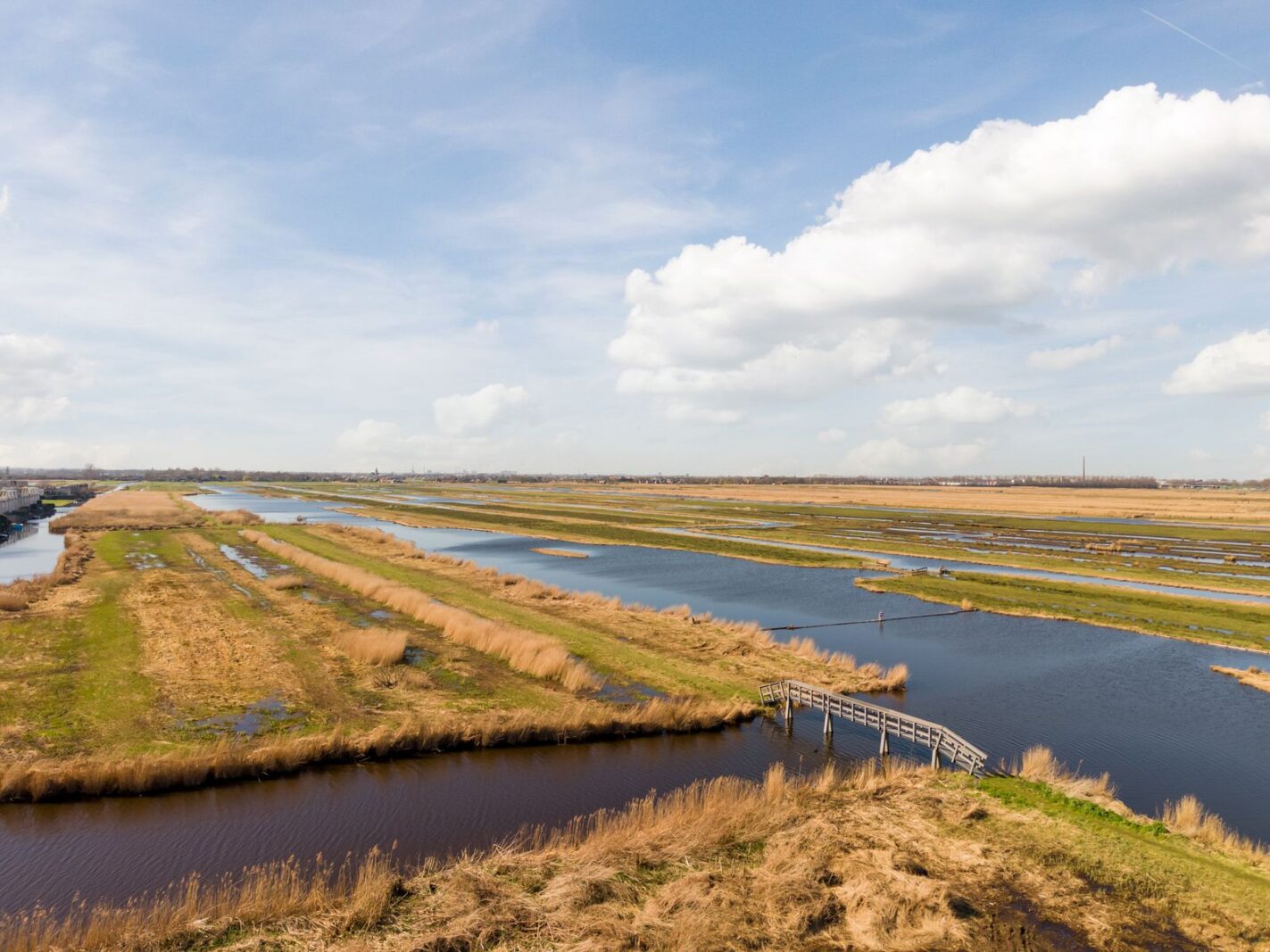 Duke Ellingtonstraat 11