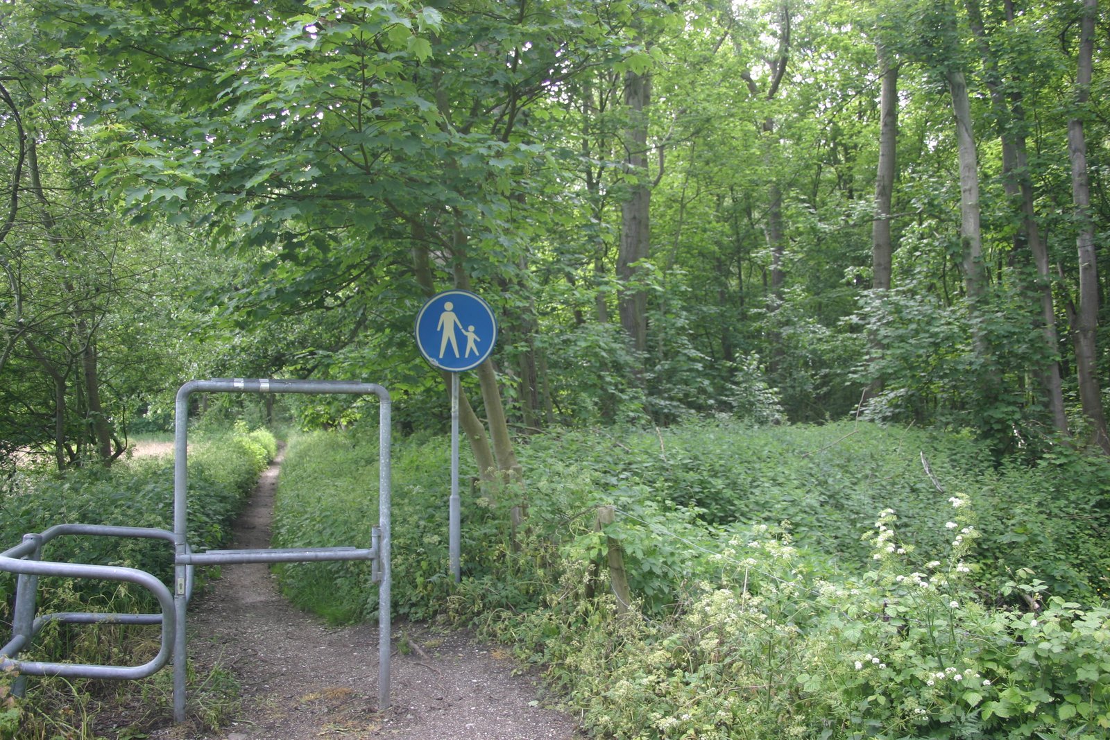 Ring 10