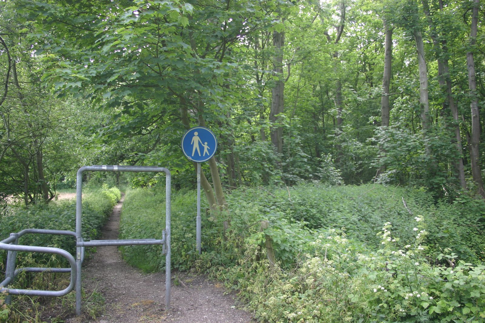 Ring 10