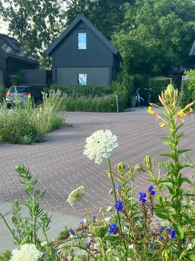 Isala Van Diesthof 5