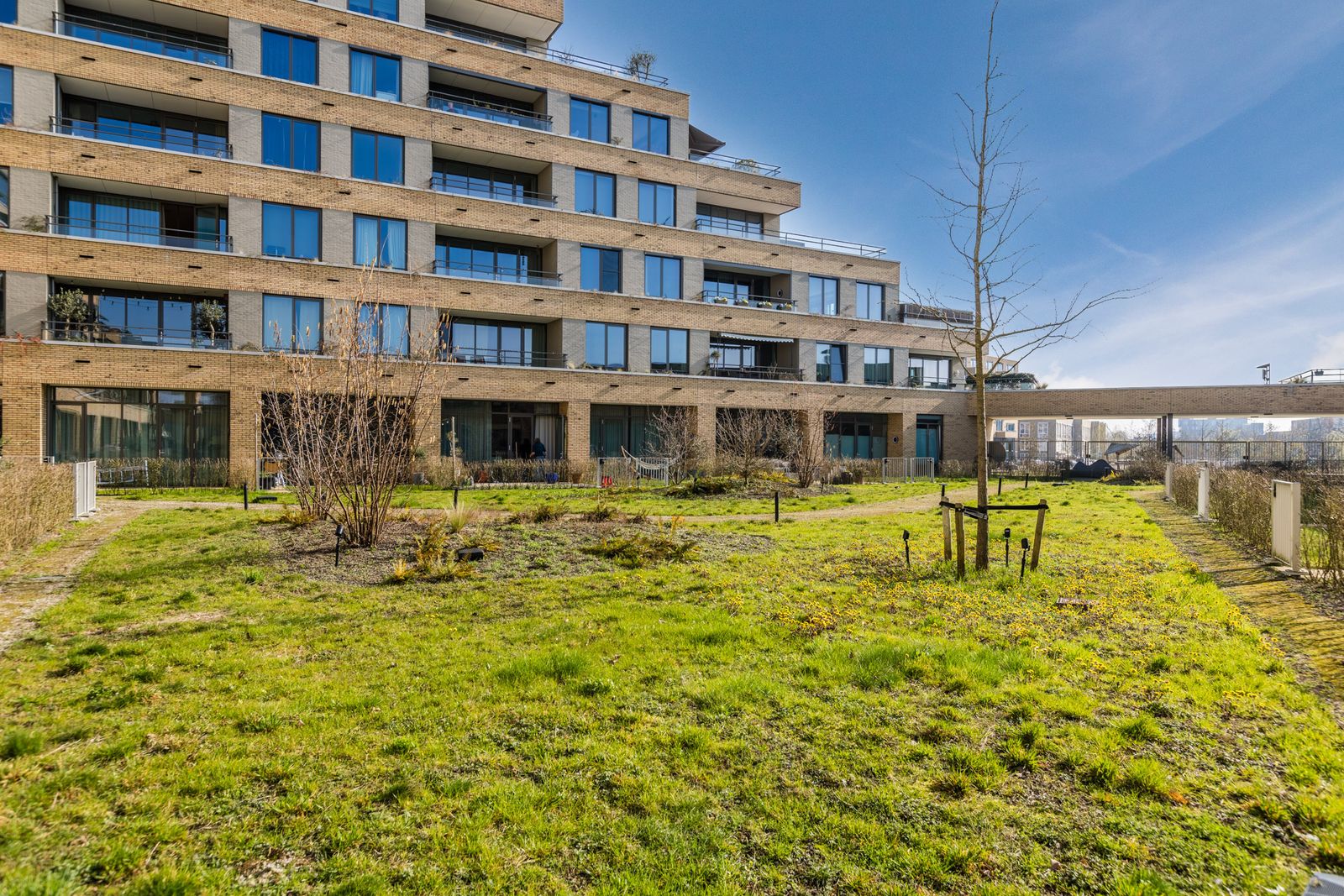 Carel Willinkstraat 4
