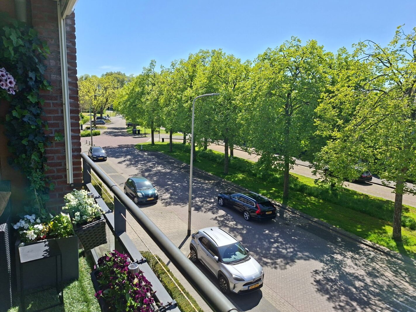 Potgieterhof 45