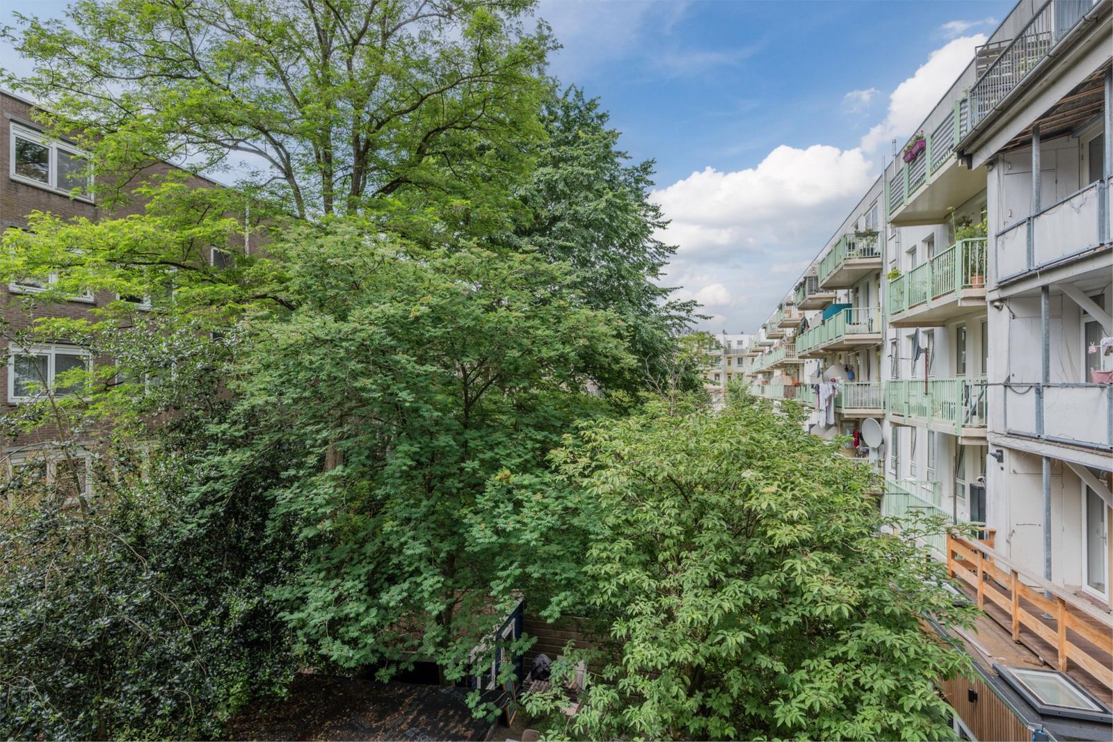 Nicolaas Beetsplantsoen 10