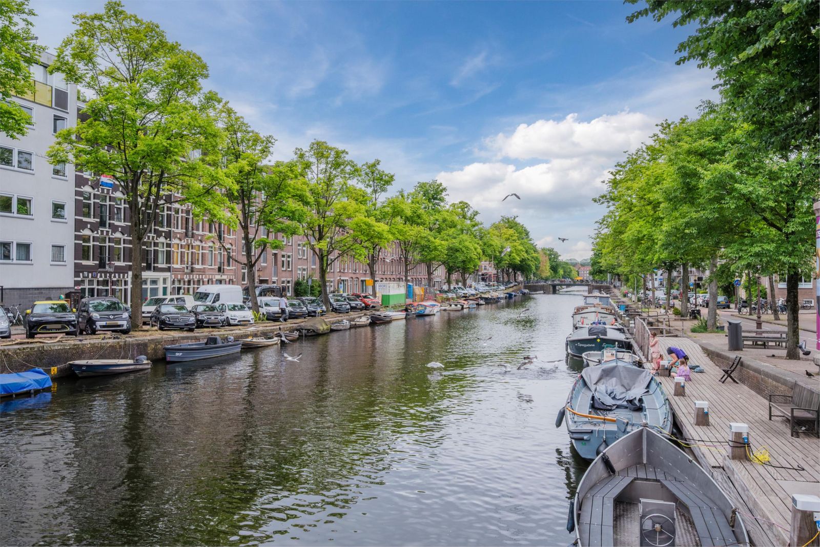 Nicolaas Beetsplantsoen 10