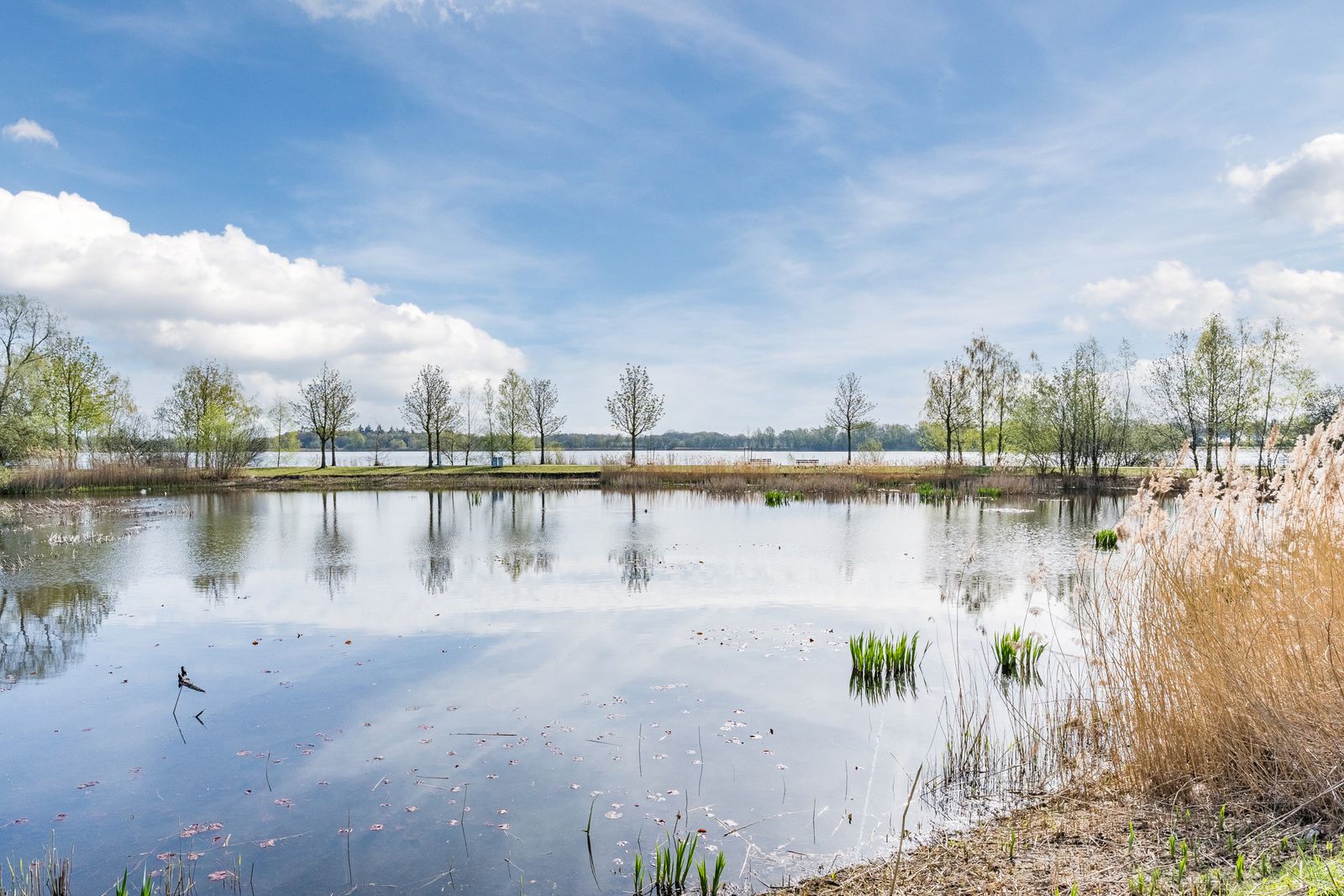 Overijsselplantsoen 37