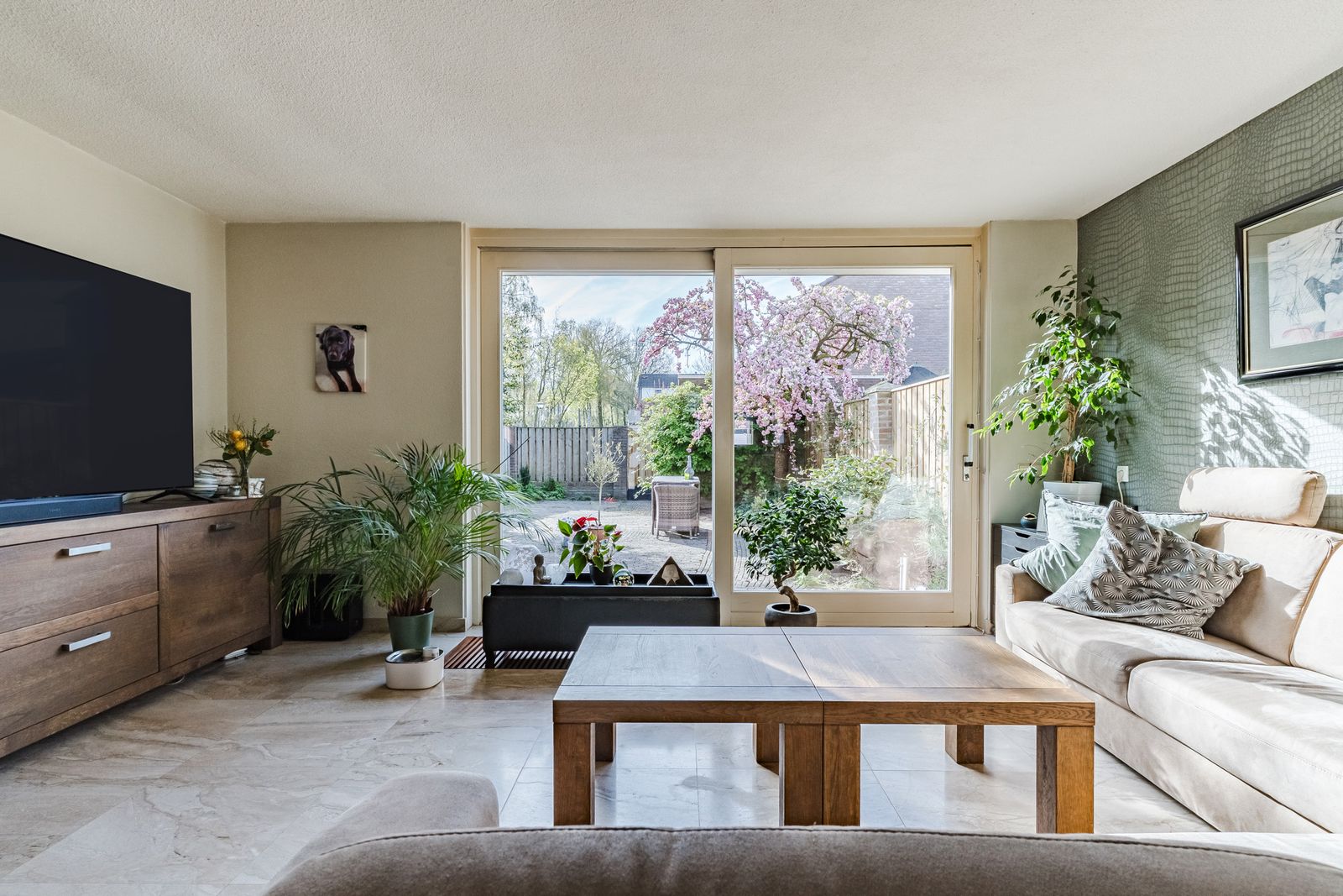 Overijsselplantsoen 37