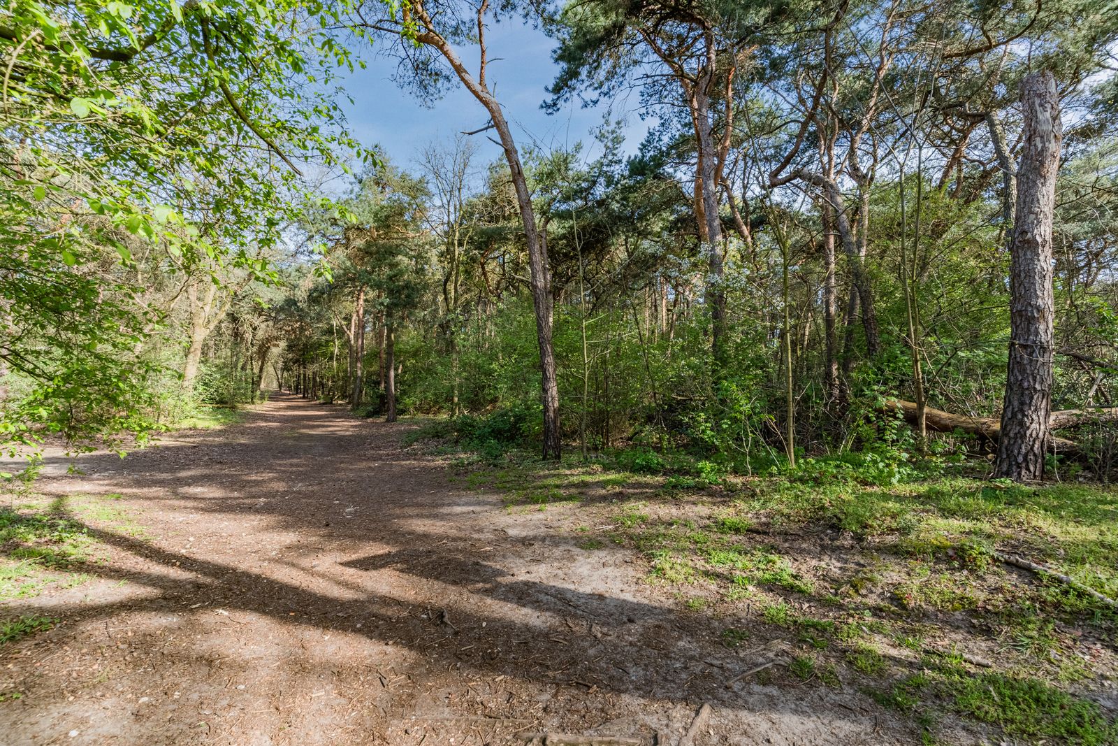 Overijsselplantsoen 37