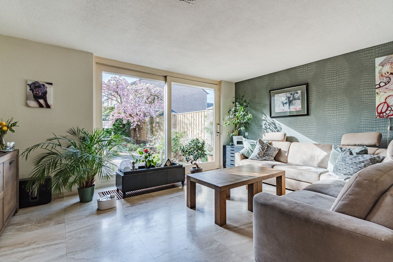 Overijsselplantsoen 37