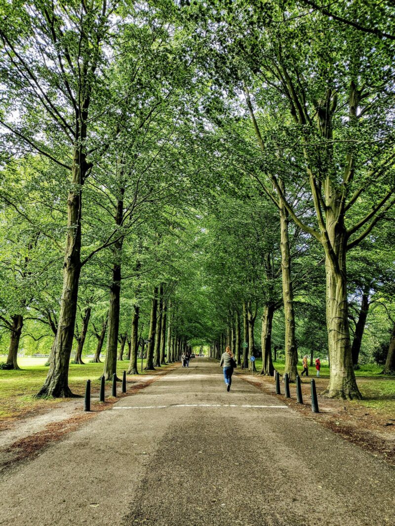 Wilhelminastraat 67-1