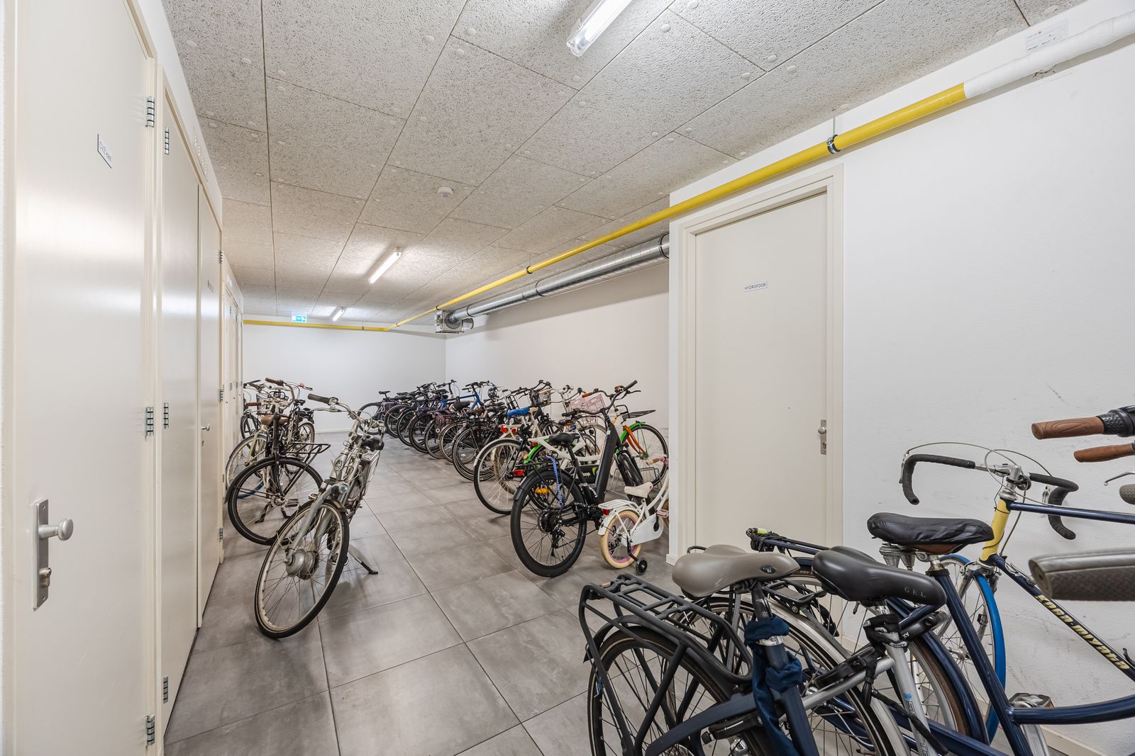 Snoekstraat 6