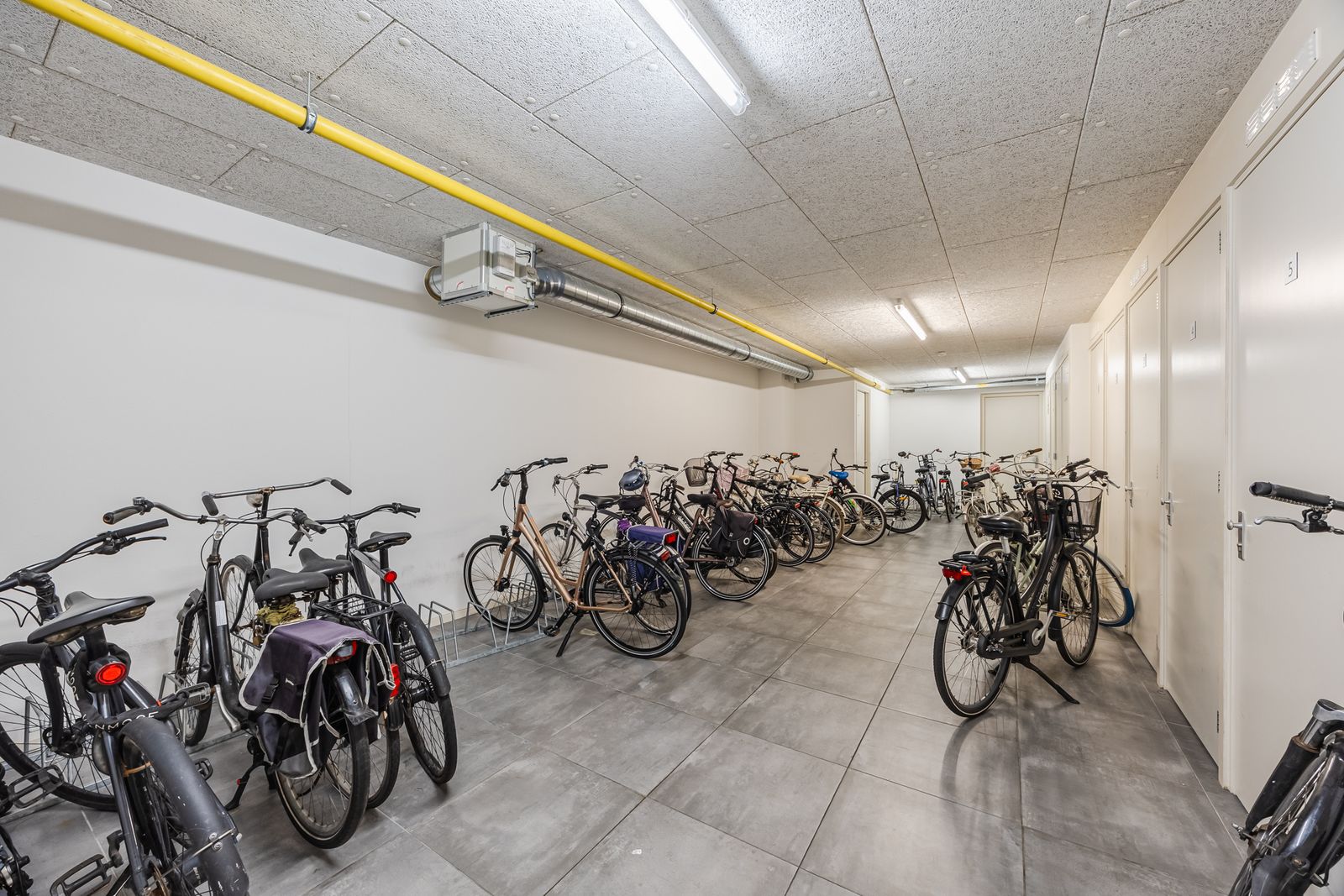 Snoekstraat 6