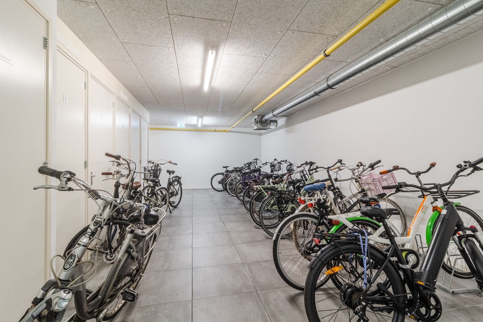 Snoekstraat 8C