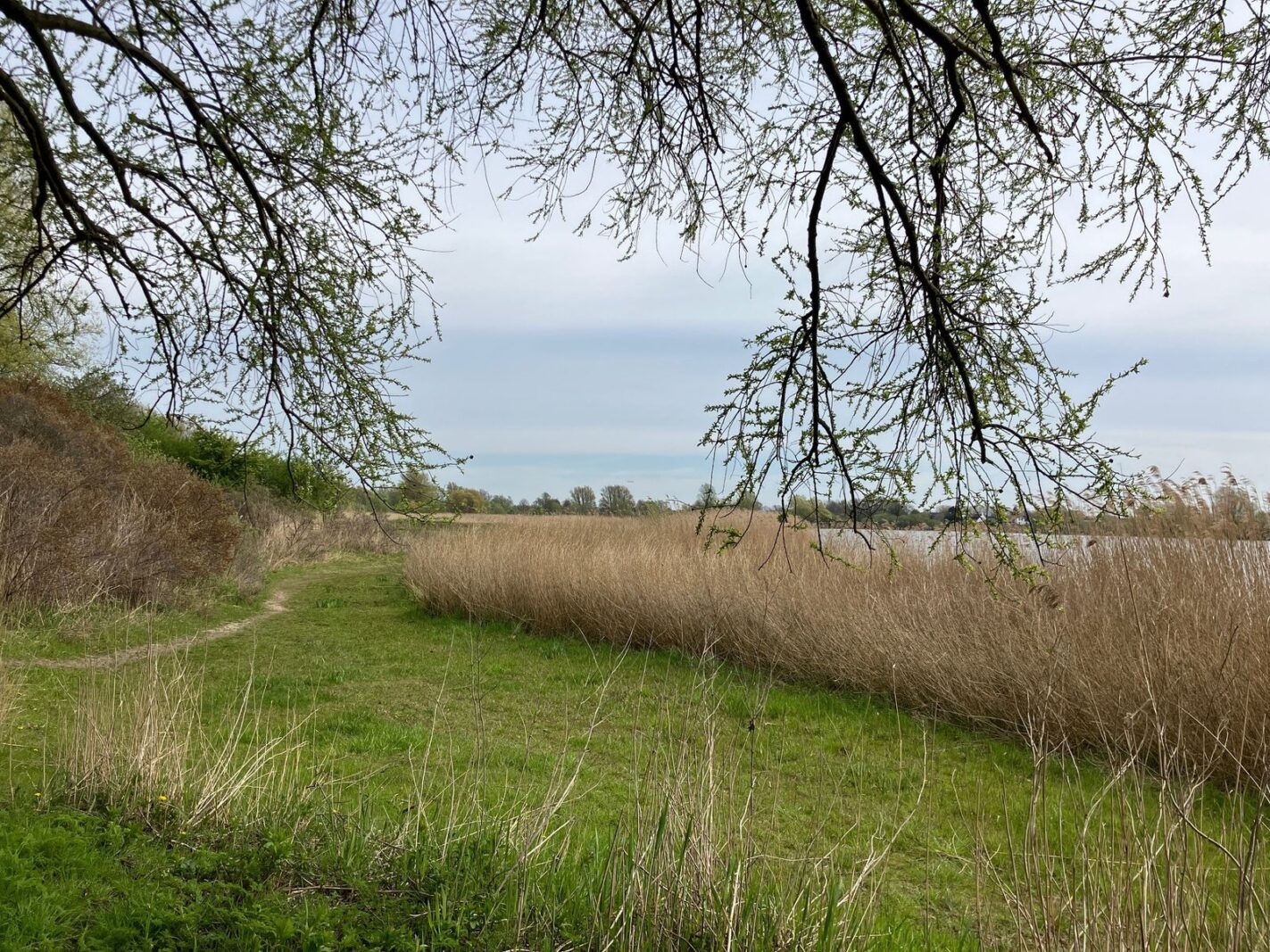 Waddenstraat 681