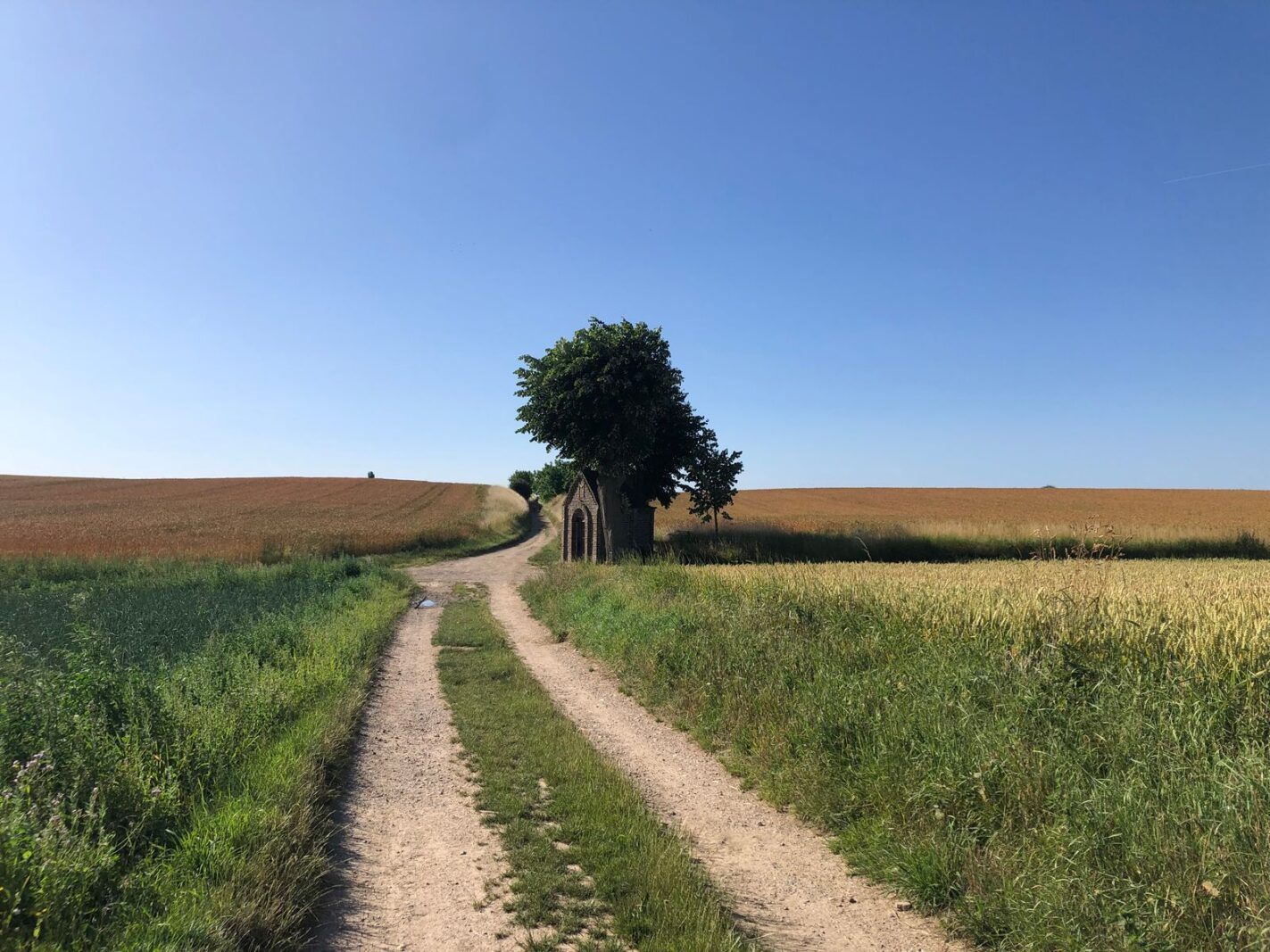 Lanakerweg 8