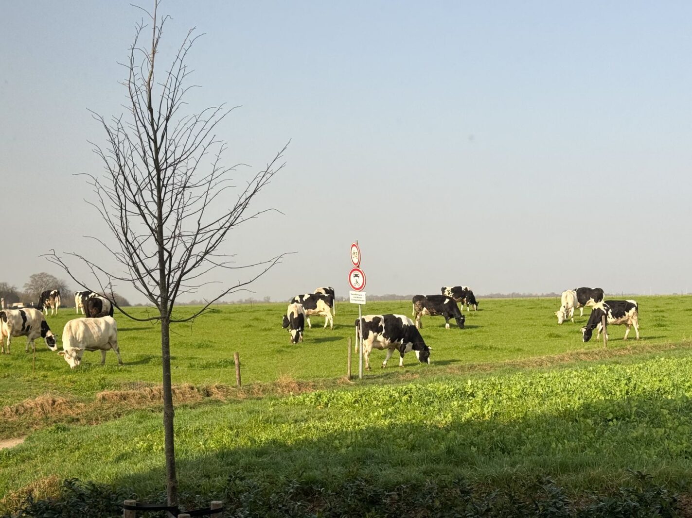 Lanakerweg 8
