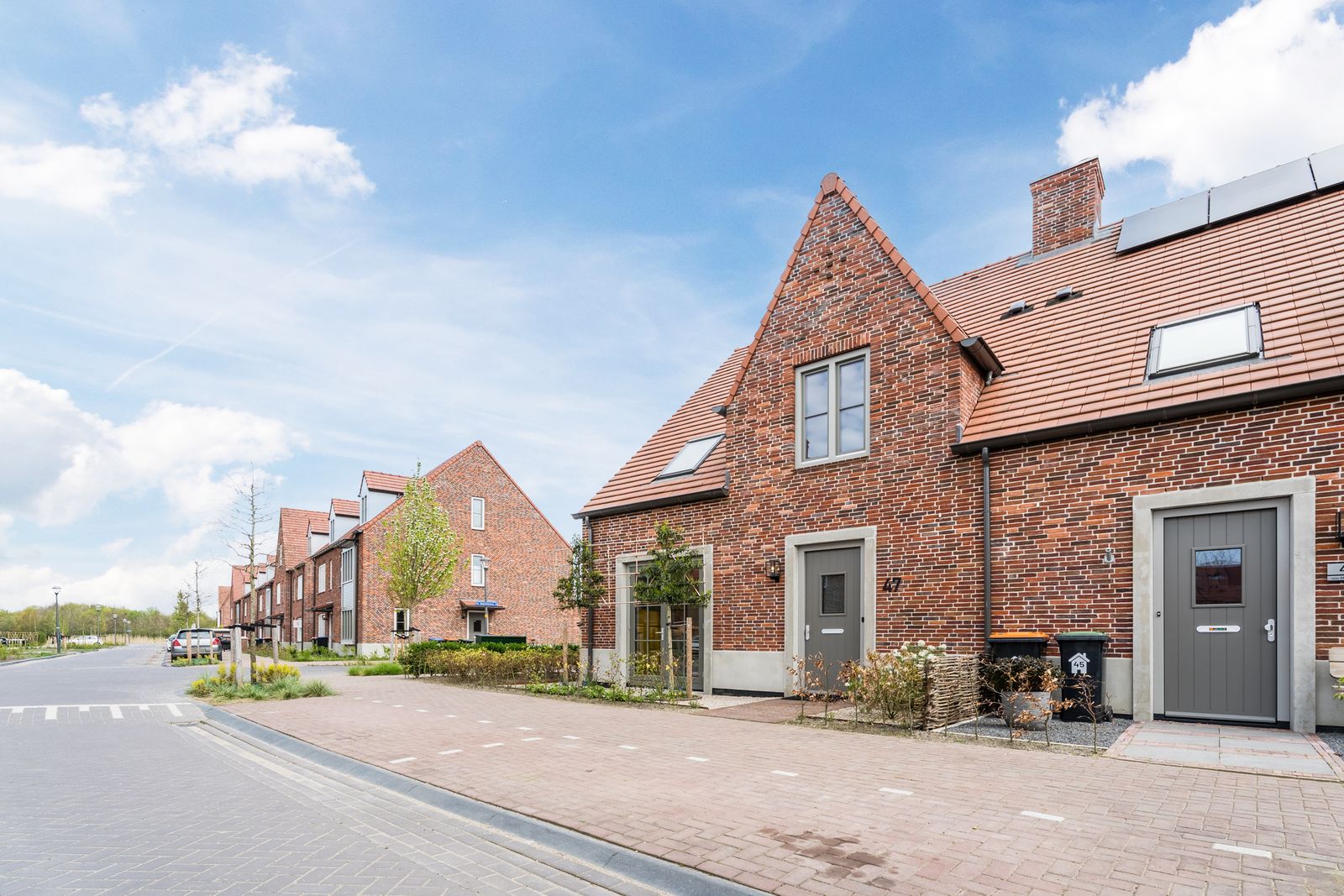 Notenhout 47