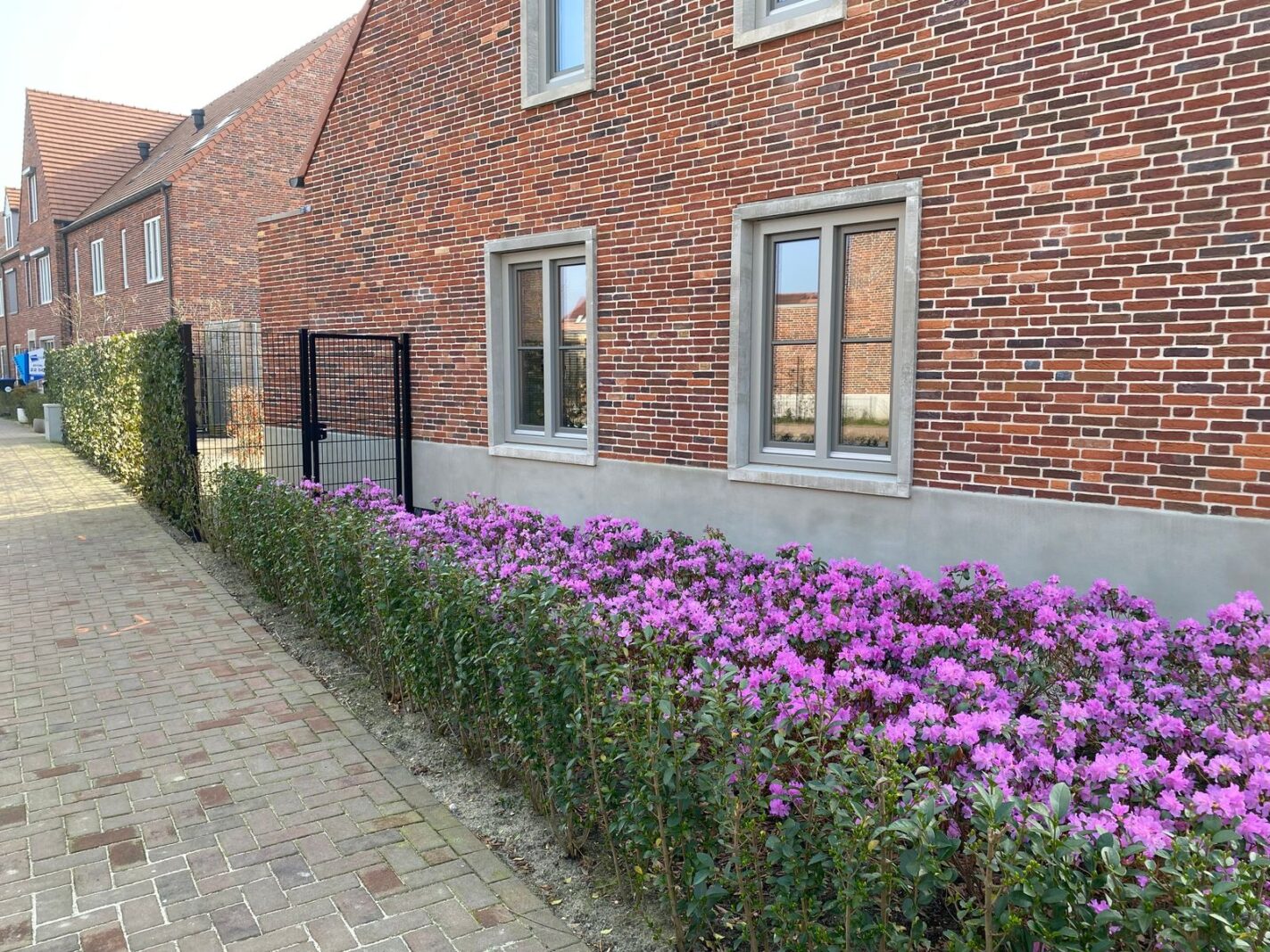Notenhout 47