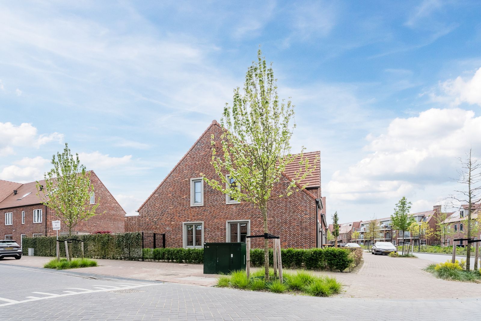 Notenhout 47