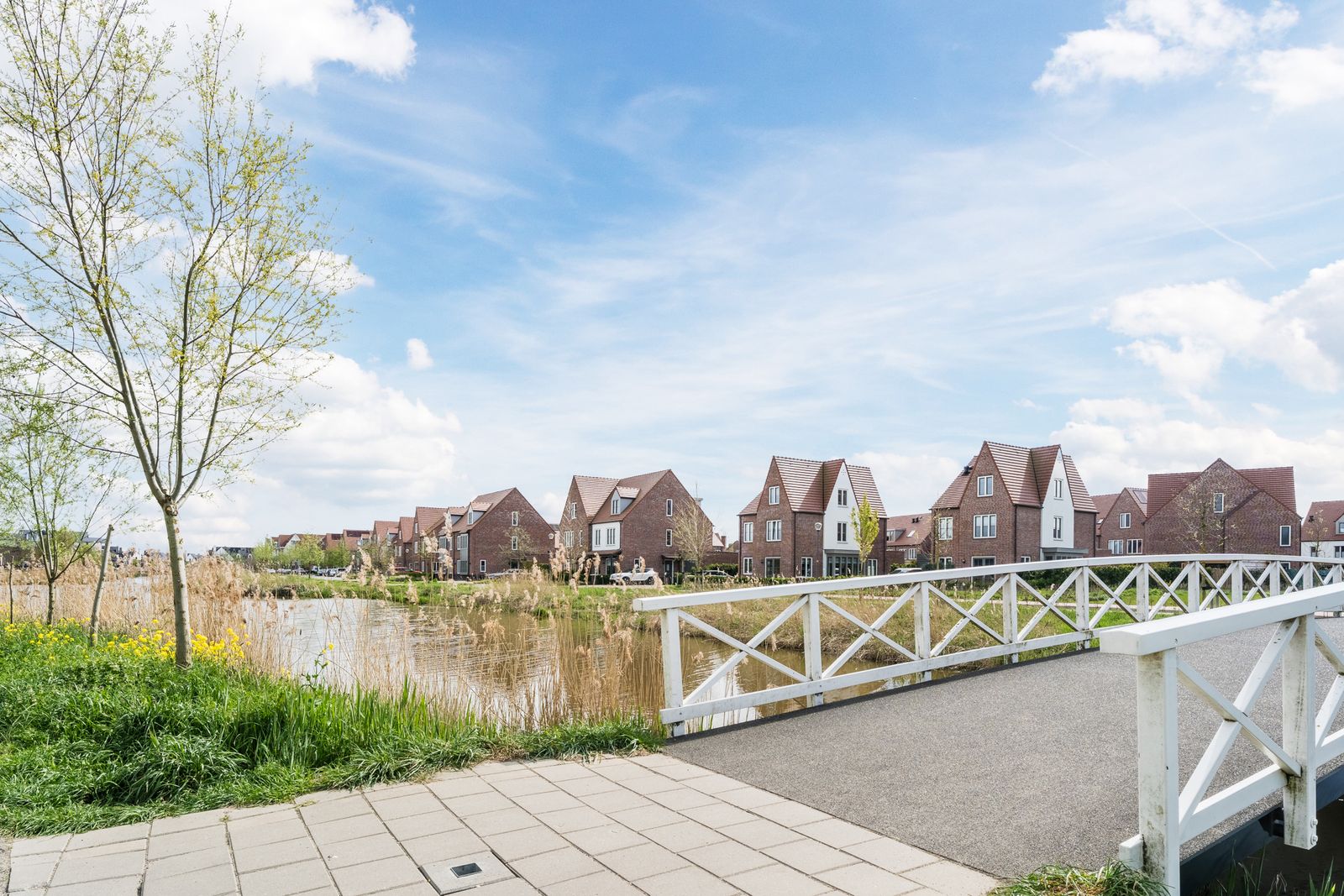 Notenhout 47