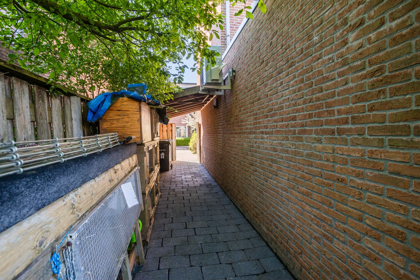 Raaigras 58