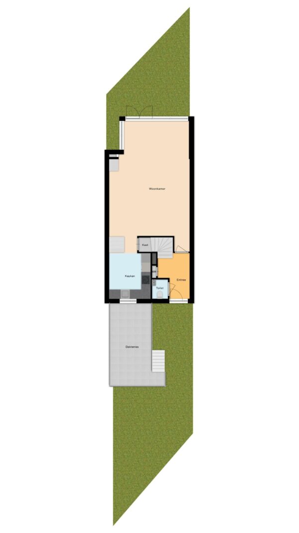 Kamsalamander 9