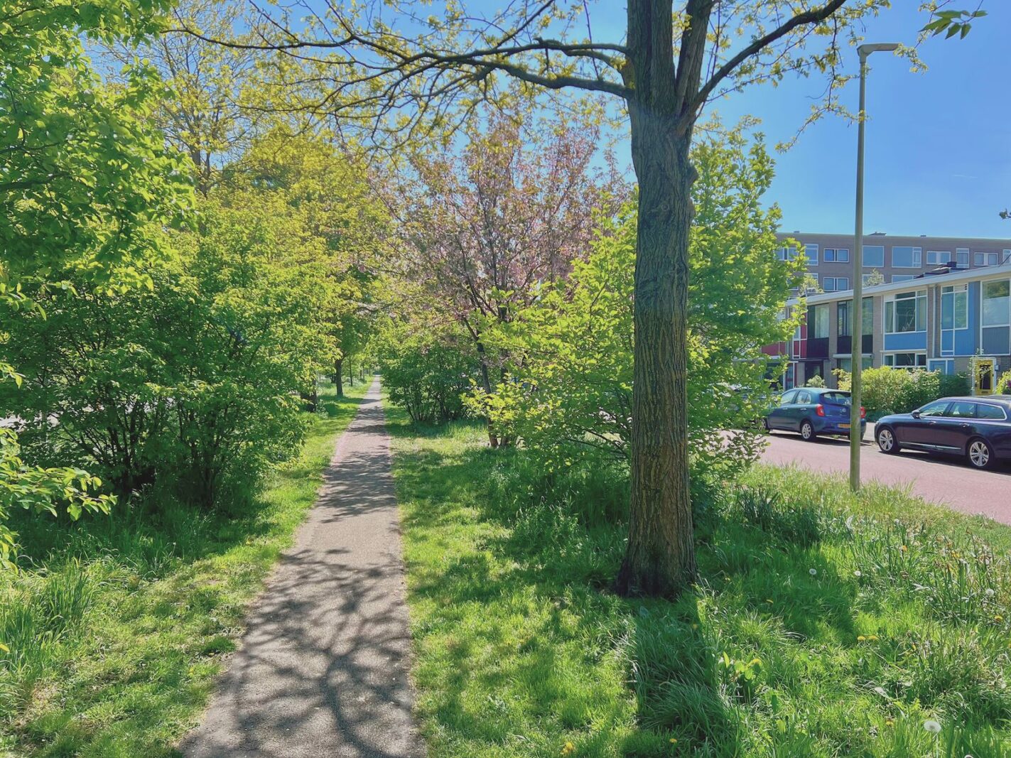 Opaalweg 49
