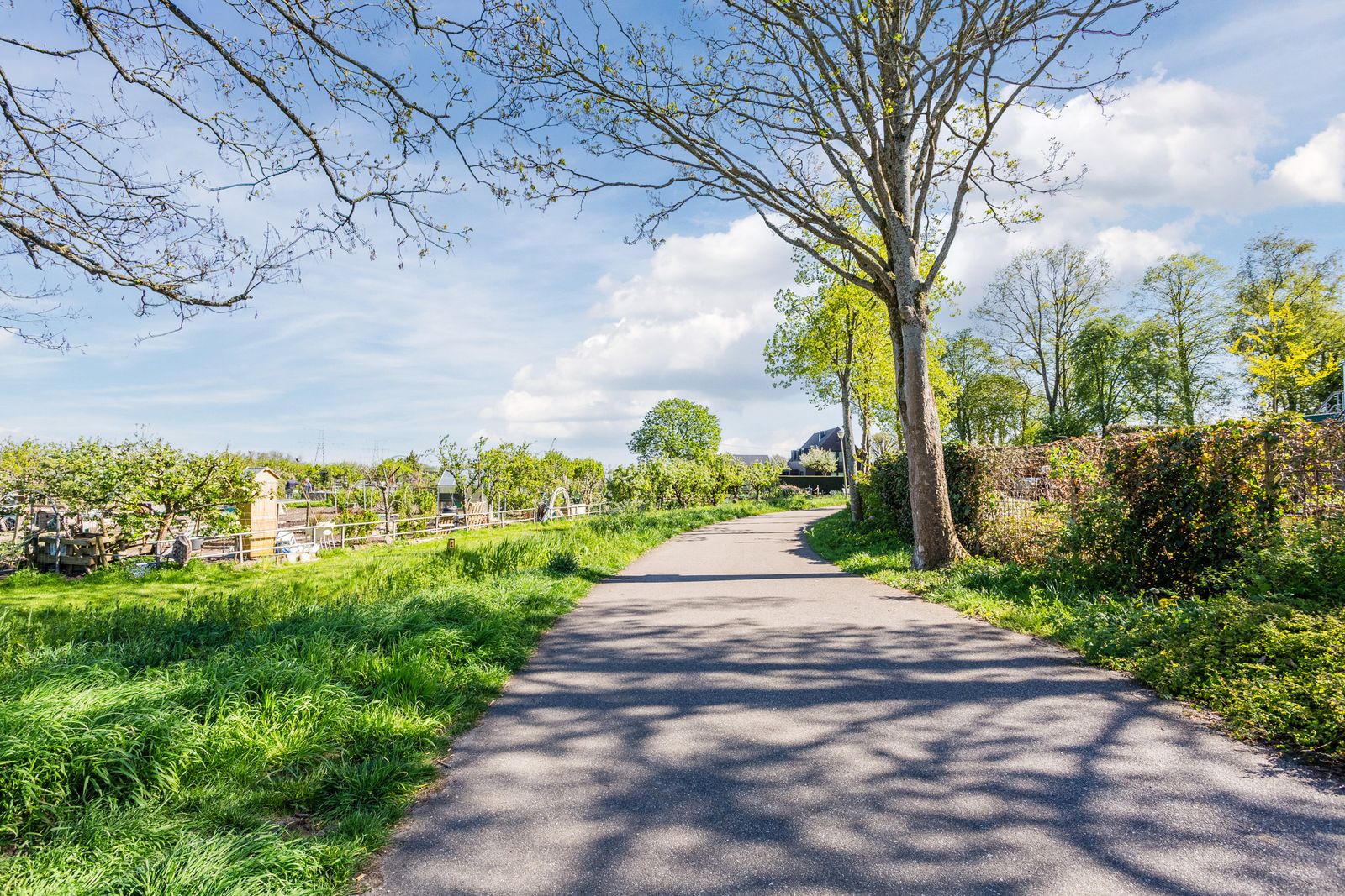 Nooit Gedacht 98