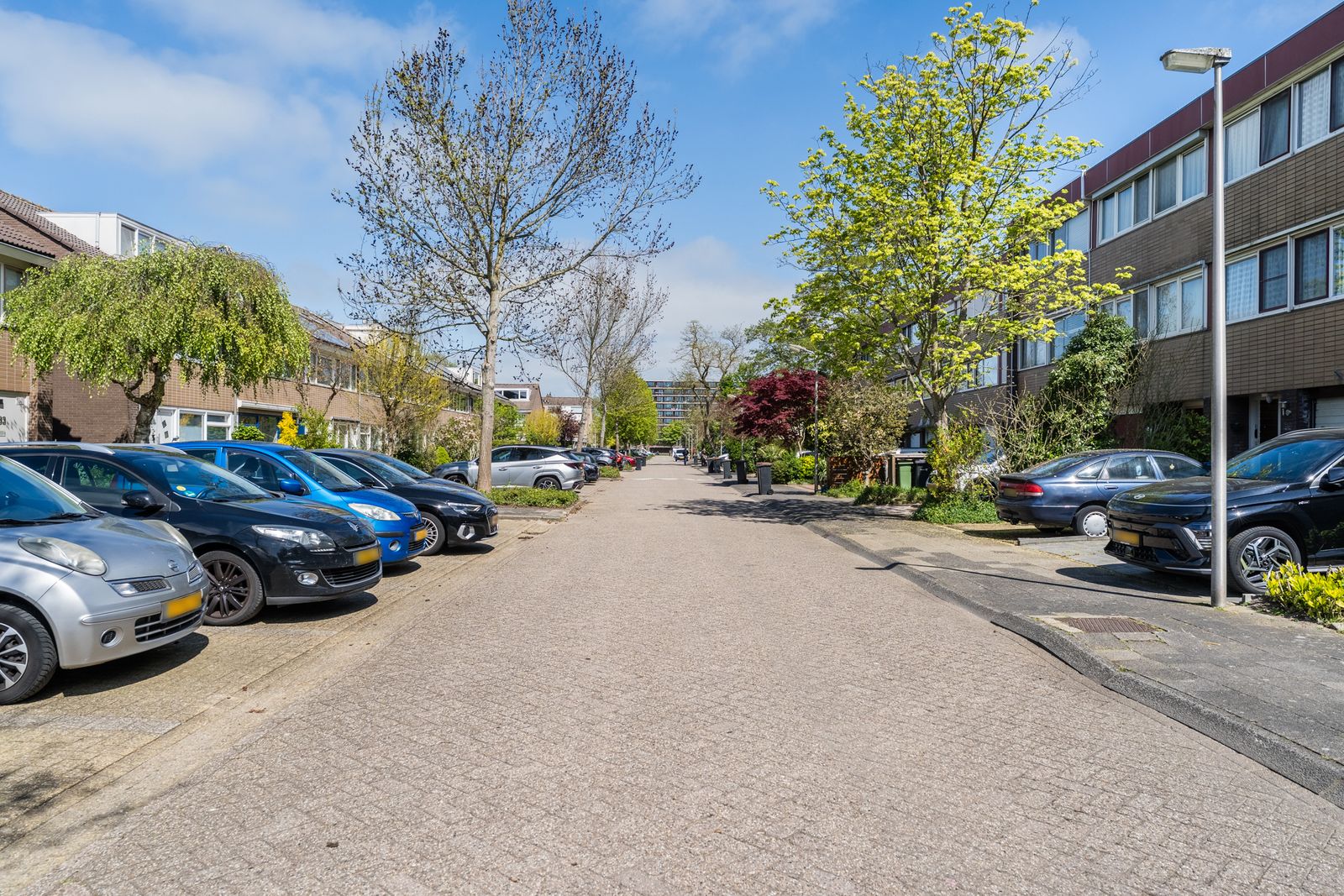 Meeuwstraat 52
