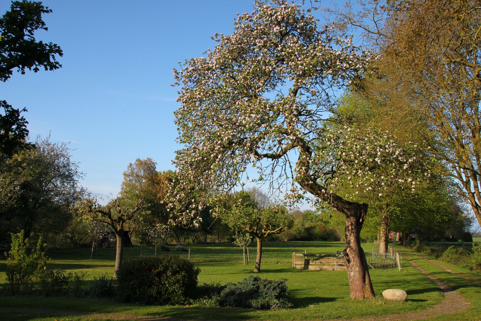Musselweg 86
