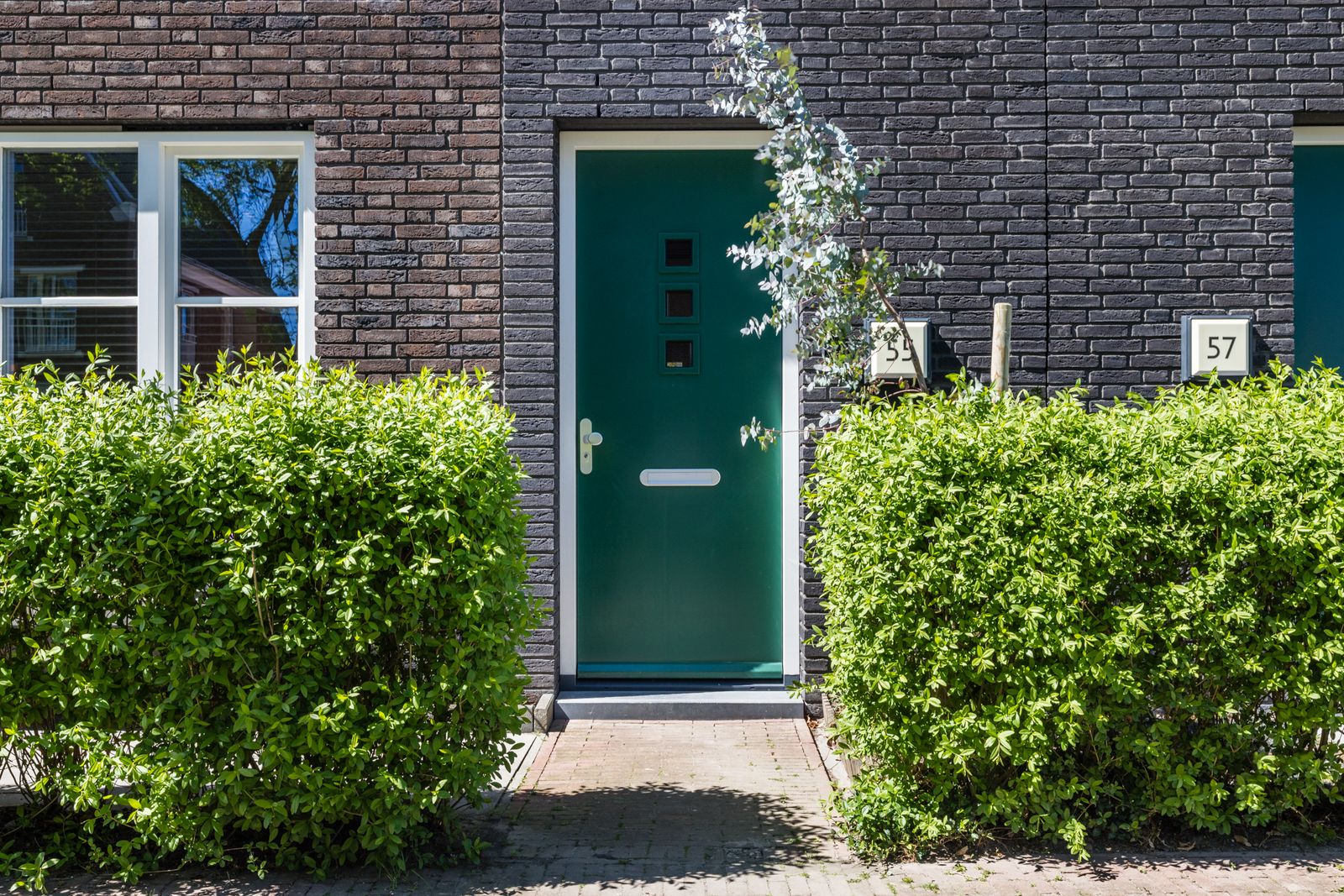 Hogesteeg 55