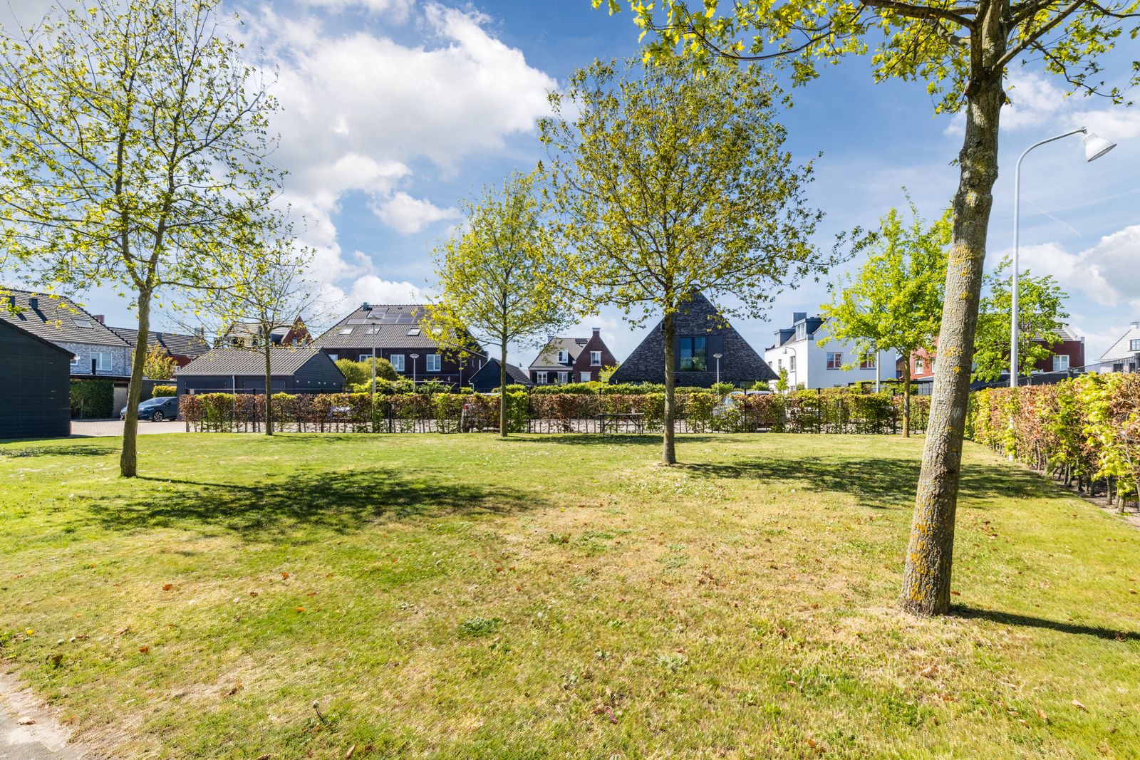 Hogesteeg 55