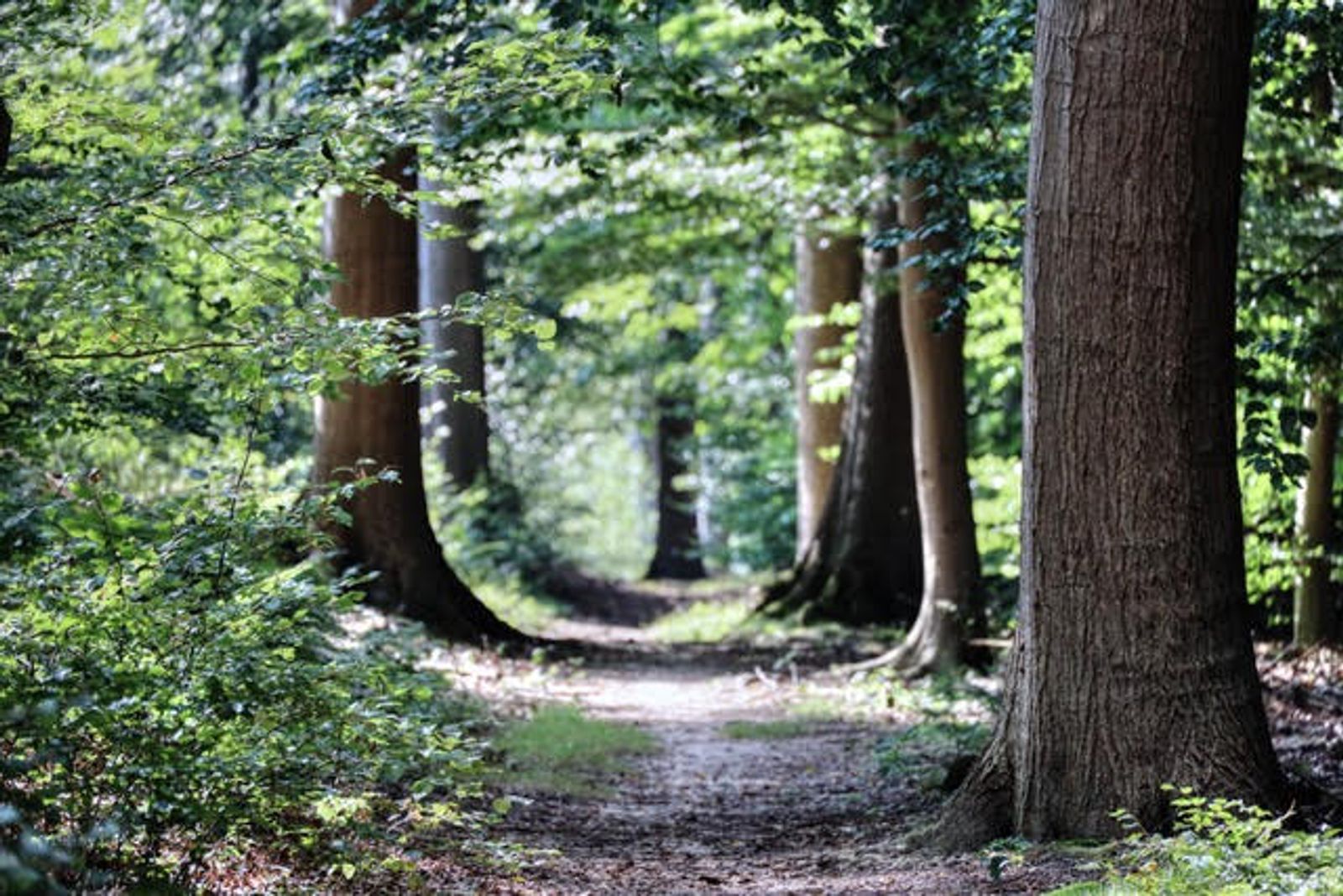 Halseweg 54-91