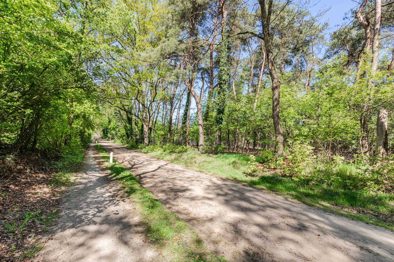 Halseweg 54-91