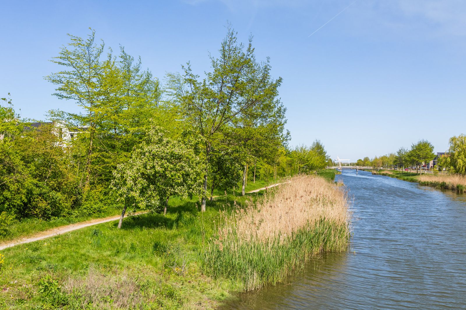 Slipsteek 22