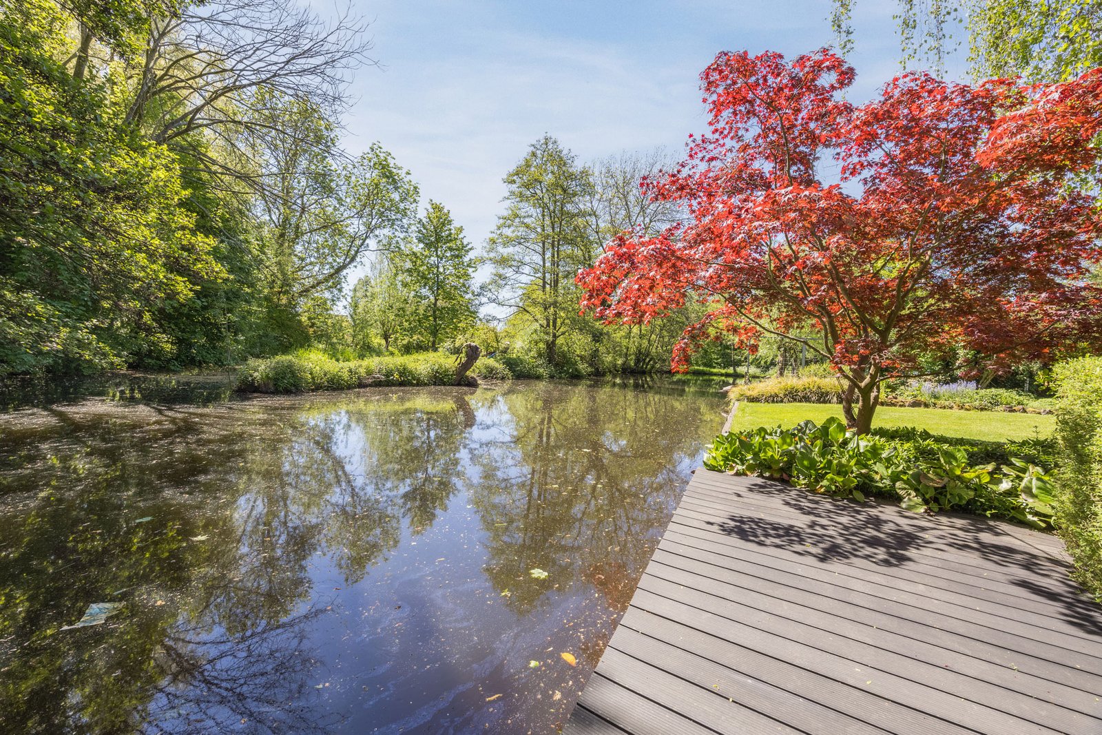 Groenezoom 11
