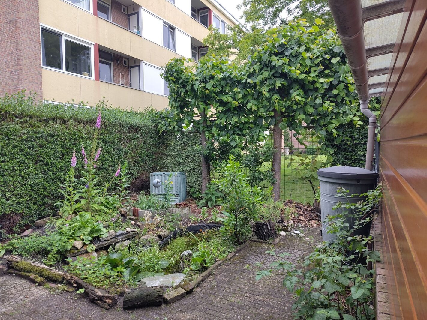 Professor Schrijnenstraat 12