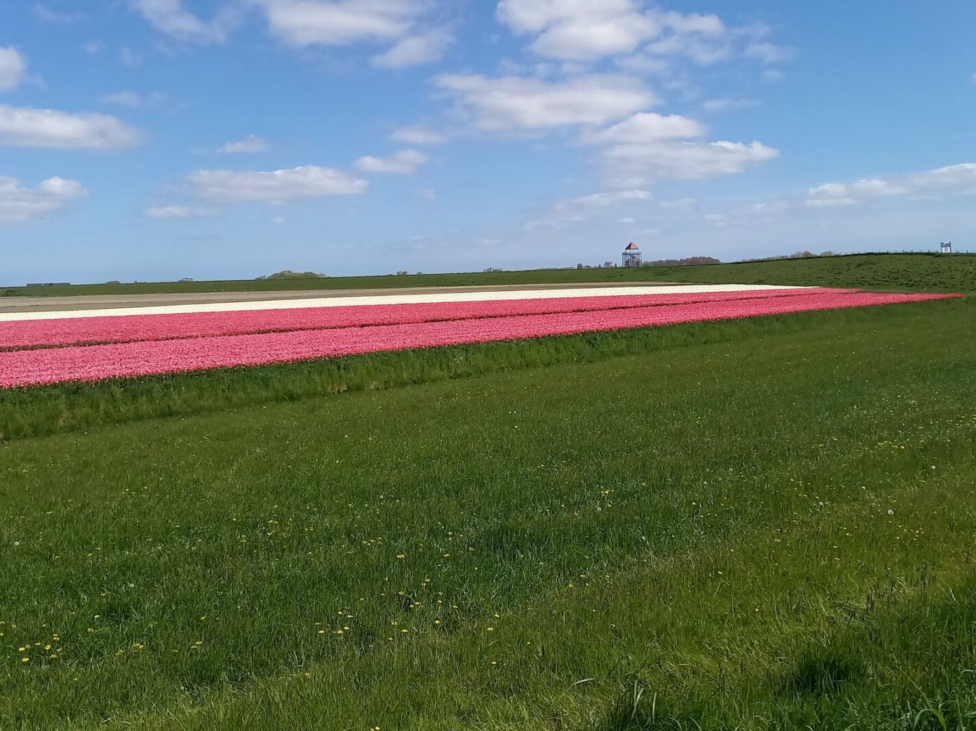 Grote Sloot 77