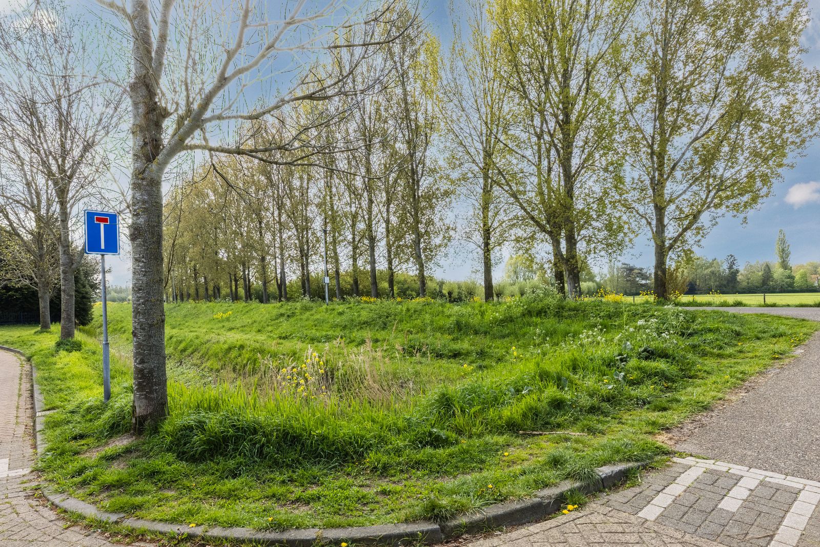 Koperwiek 37