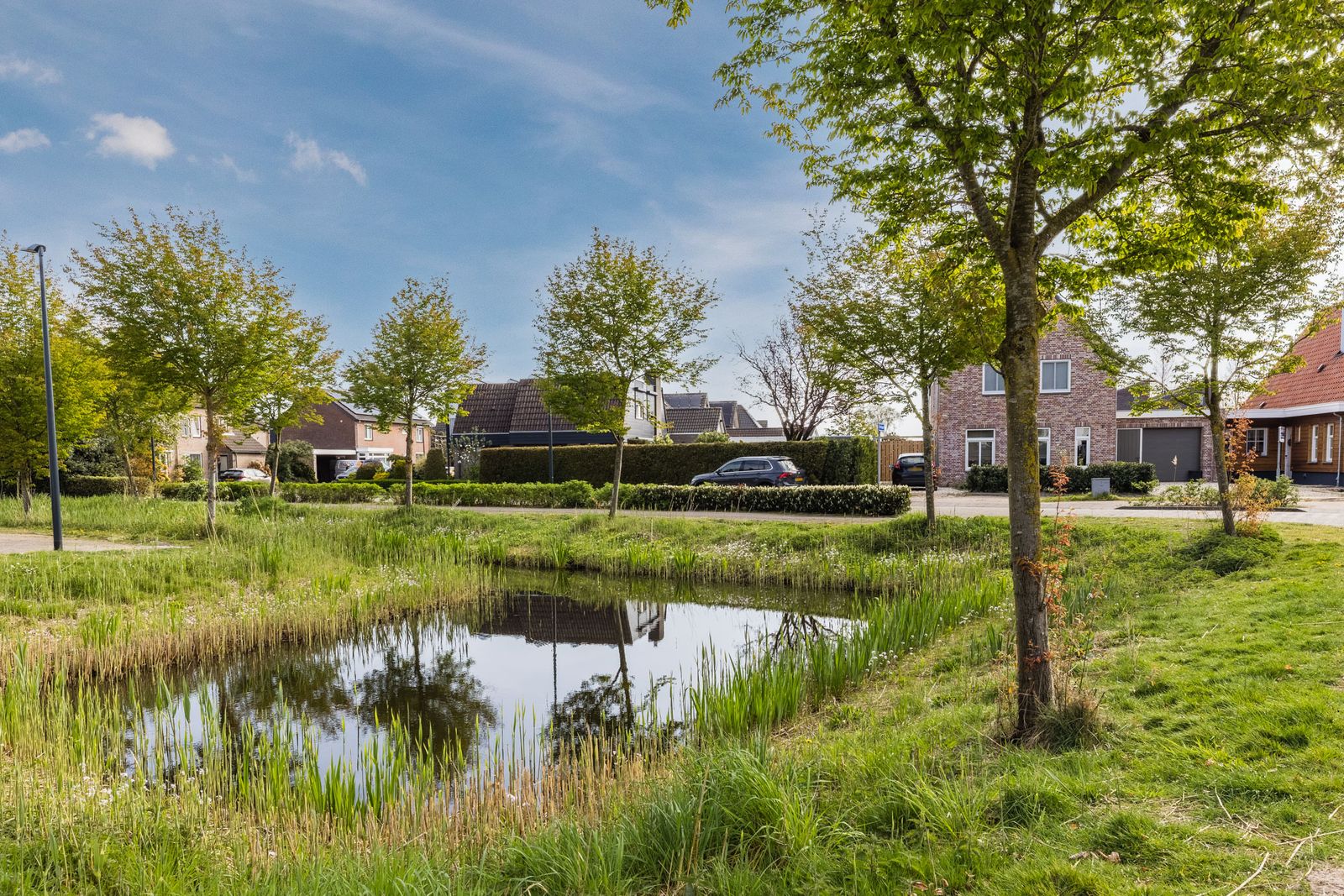 Koperwiek 37