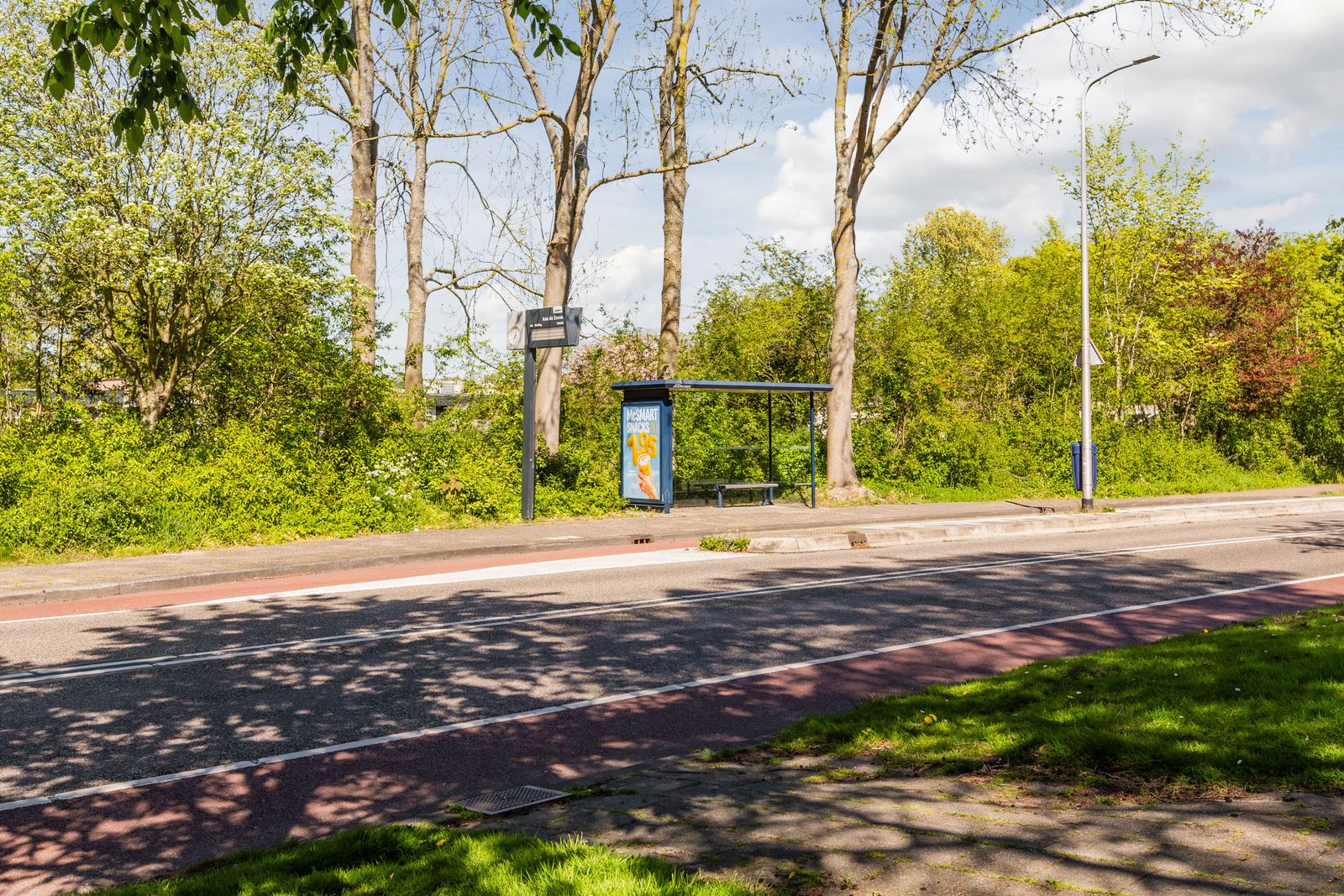 Zilverschoon 52
