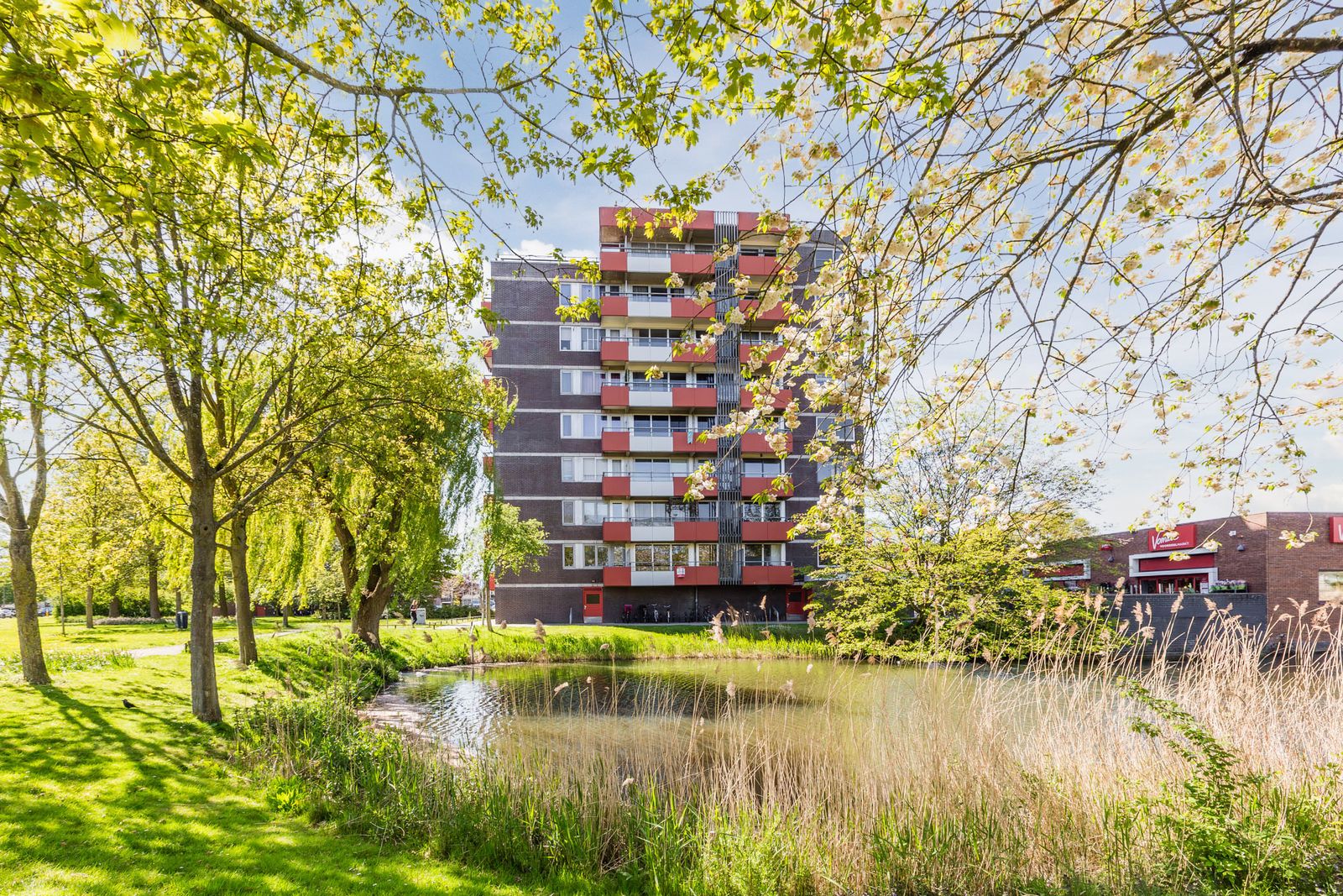 Zilverschoon 52