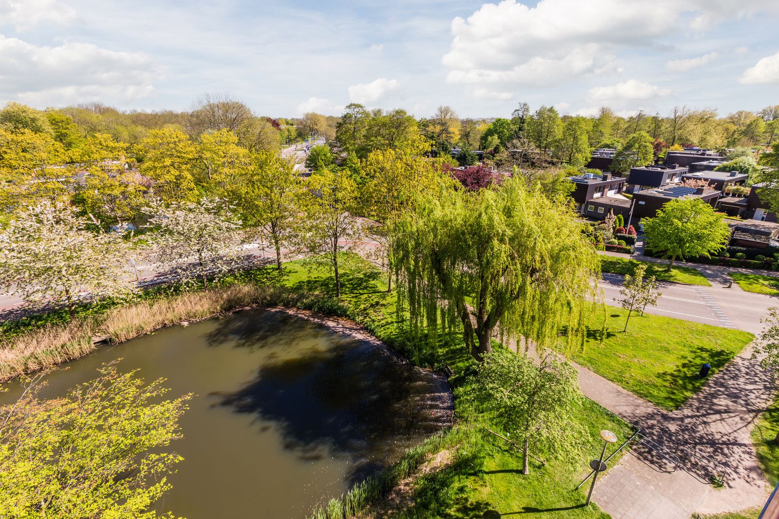 Zilverschoon 52