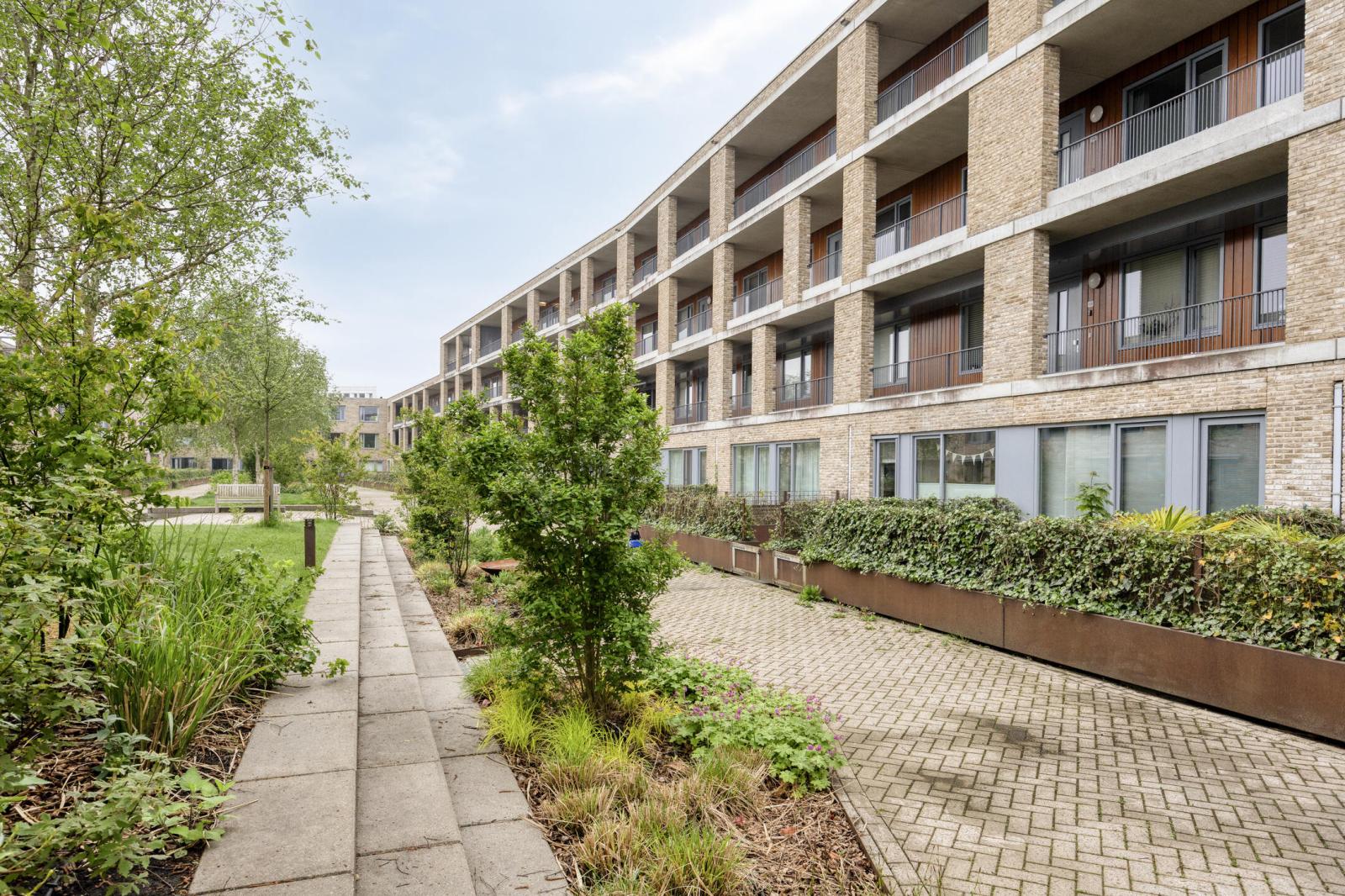 Verlengde Lodewijkstraat 184