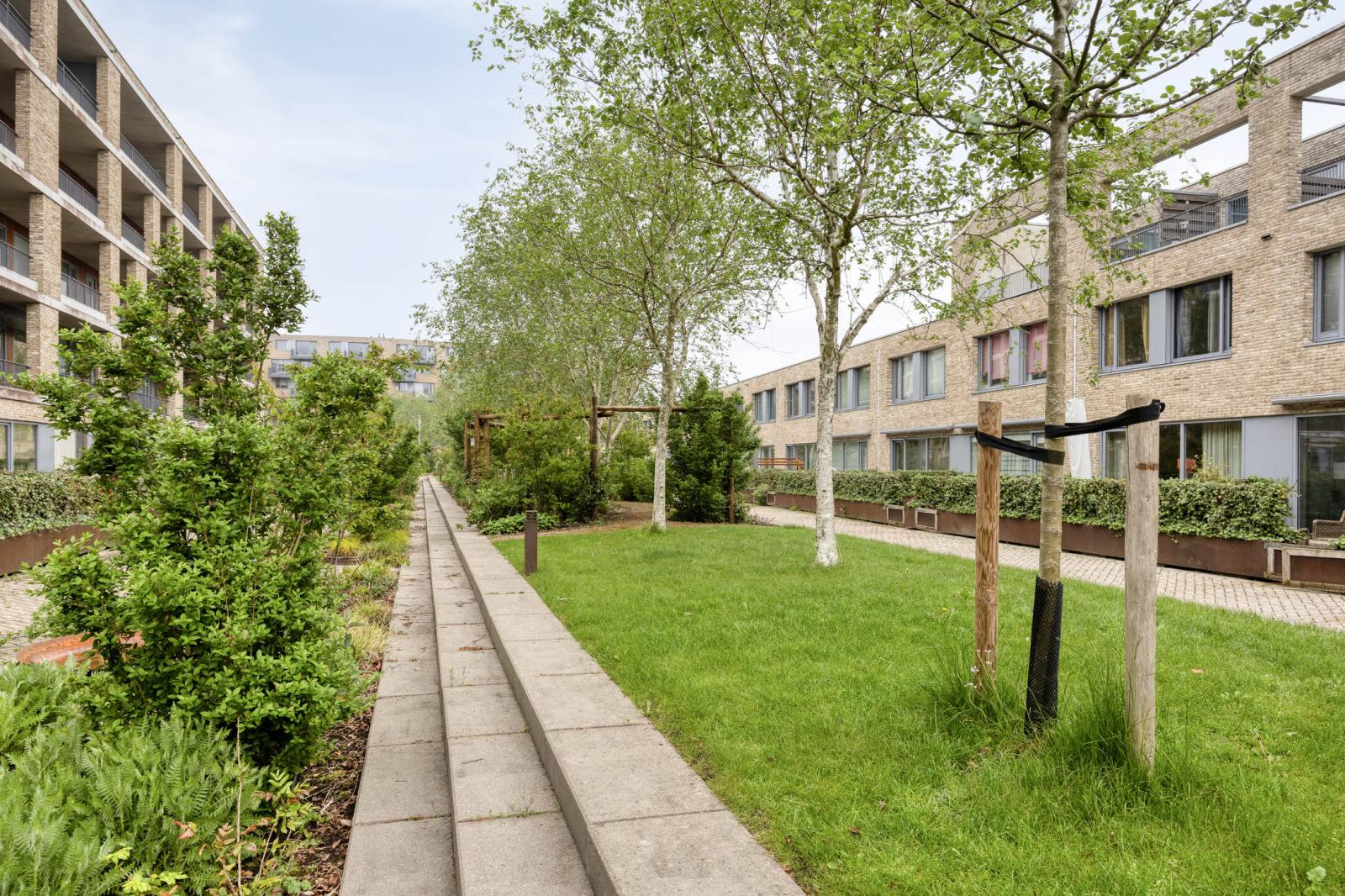 Verlengde Lodewijkstraat 184